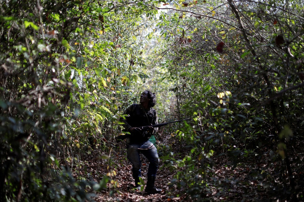 Solving clearing problems the Brazilian way - civil position, Brazil, Peace, Longpost, Lynching, Jungle