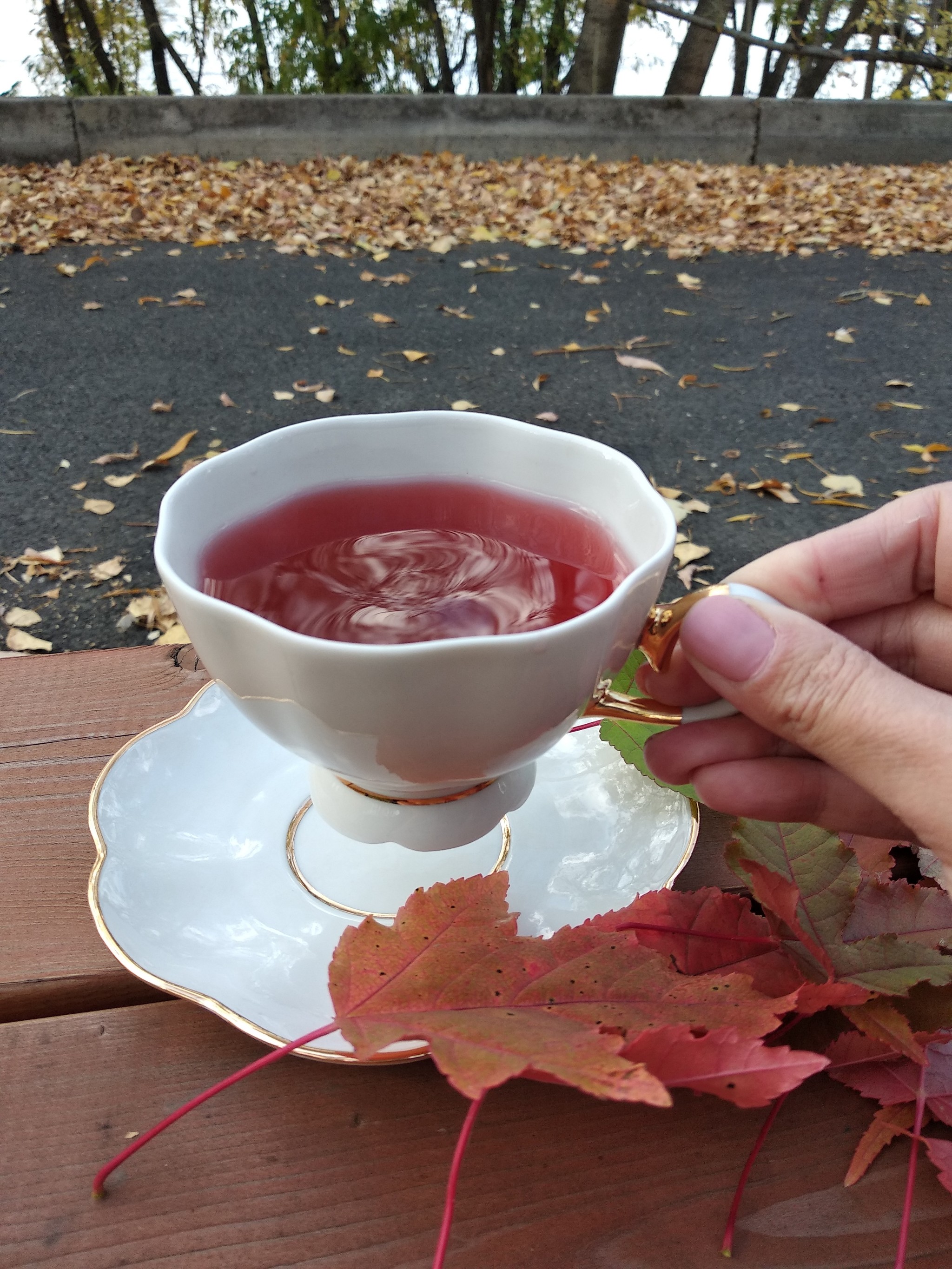 porcelain cup - My, Tea, Autumn, Porcelain, Longpost