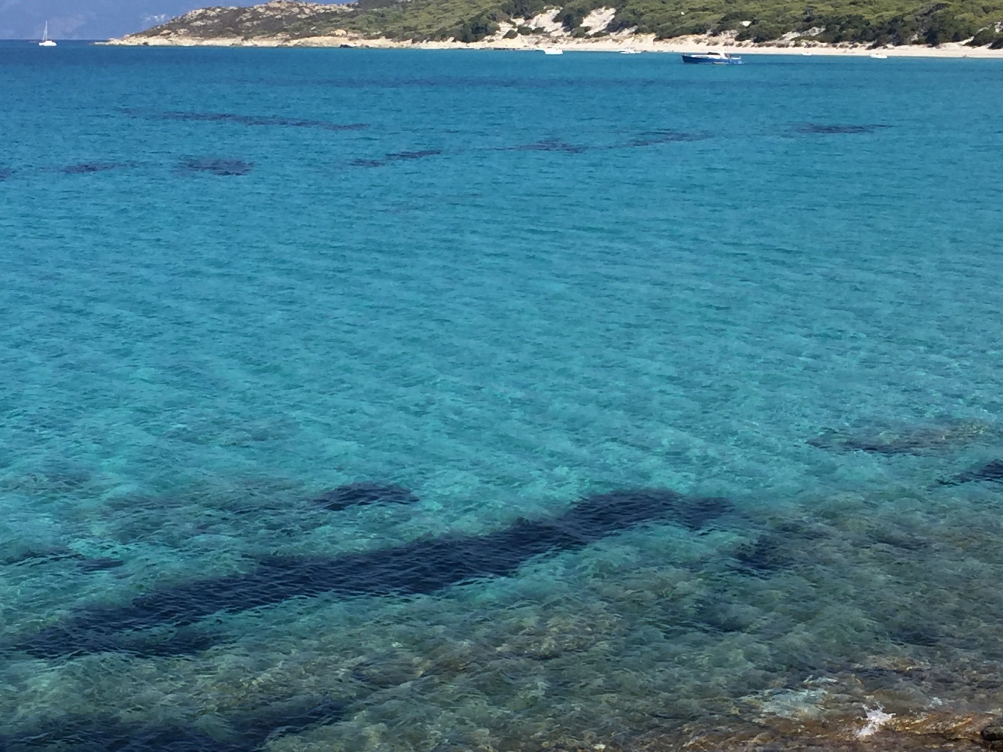 Monday night - My, Corsica, Island, Beach, Relaxation, Nature, Longpost