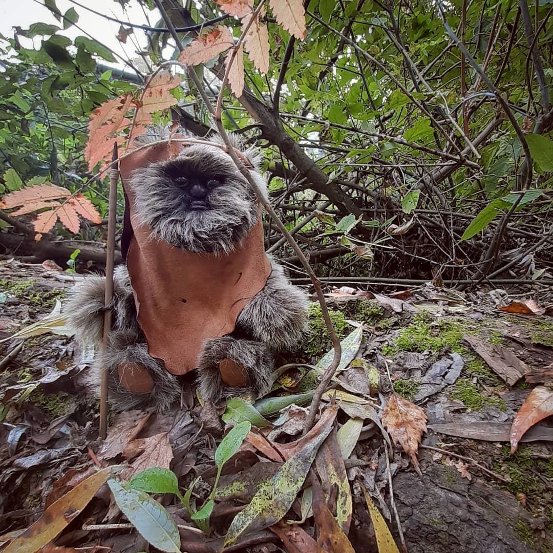 Hand Ewok - My, Needlework without process, Star Wars, Handmade, Autumn, Longpost, Soft toy, Ewoks