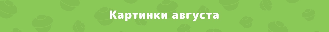 Пульс Пикабу #8. Лучшие посты за август, о которых вы могли уже забыть (а мы напомним) - Моё, Пульс Пикабу, Август, Новости Пикабу, Пикабу, Печенька, Статистика, Скриншот, Пикабушники, Длиннопост, , Посты на Пикабу, Комментарии на Пикабу, Подборка