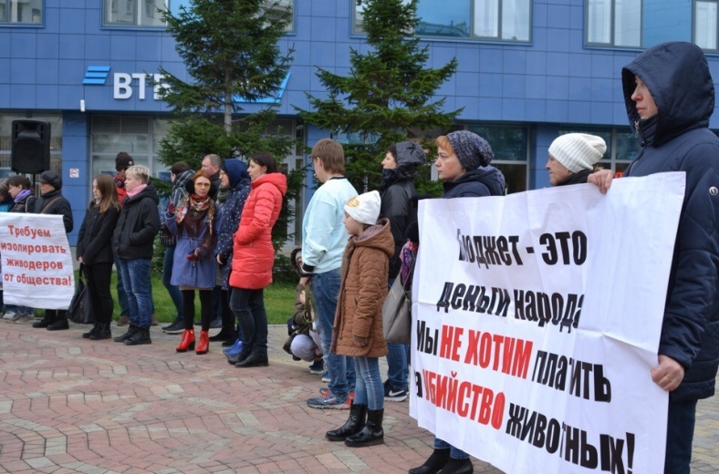 Residents of Novosibirsk refuse to pay for the killing of animals - Kindness, Russia, Novosibirsk