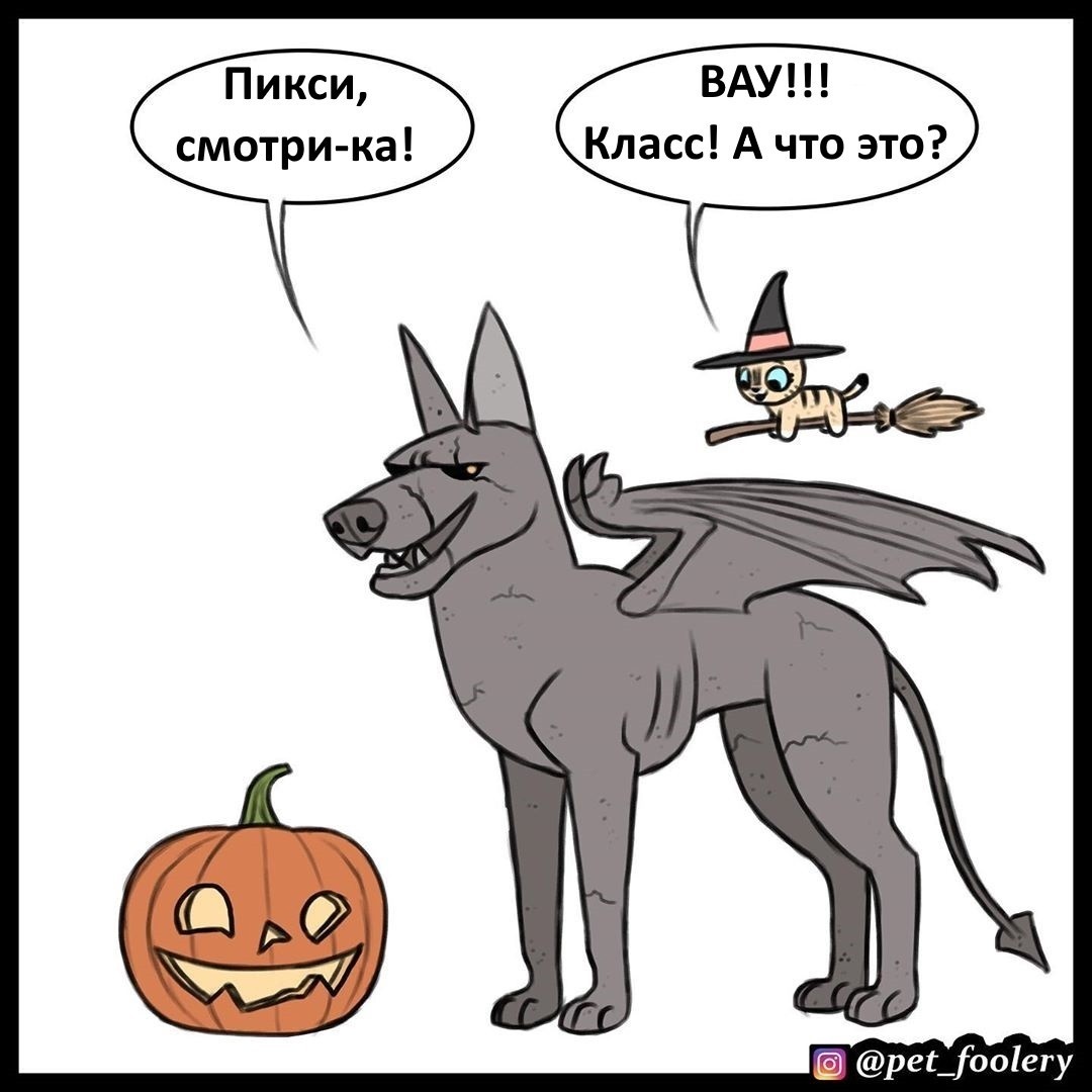 Halloween. - Comics, Pet foolery, Brutus and Pixie, cat, Dog, Halloween, Longpost