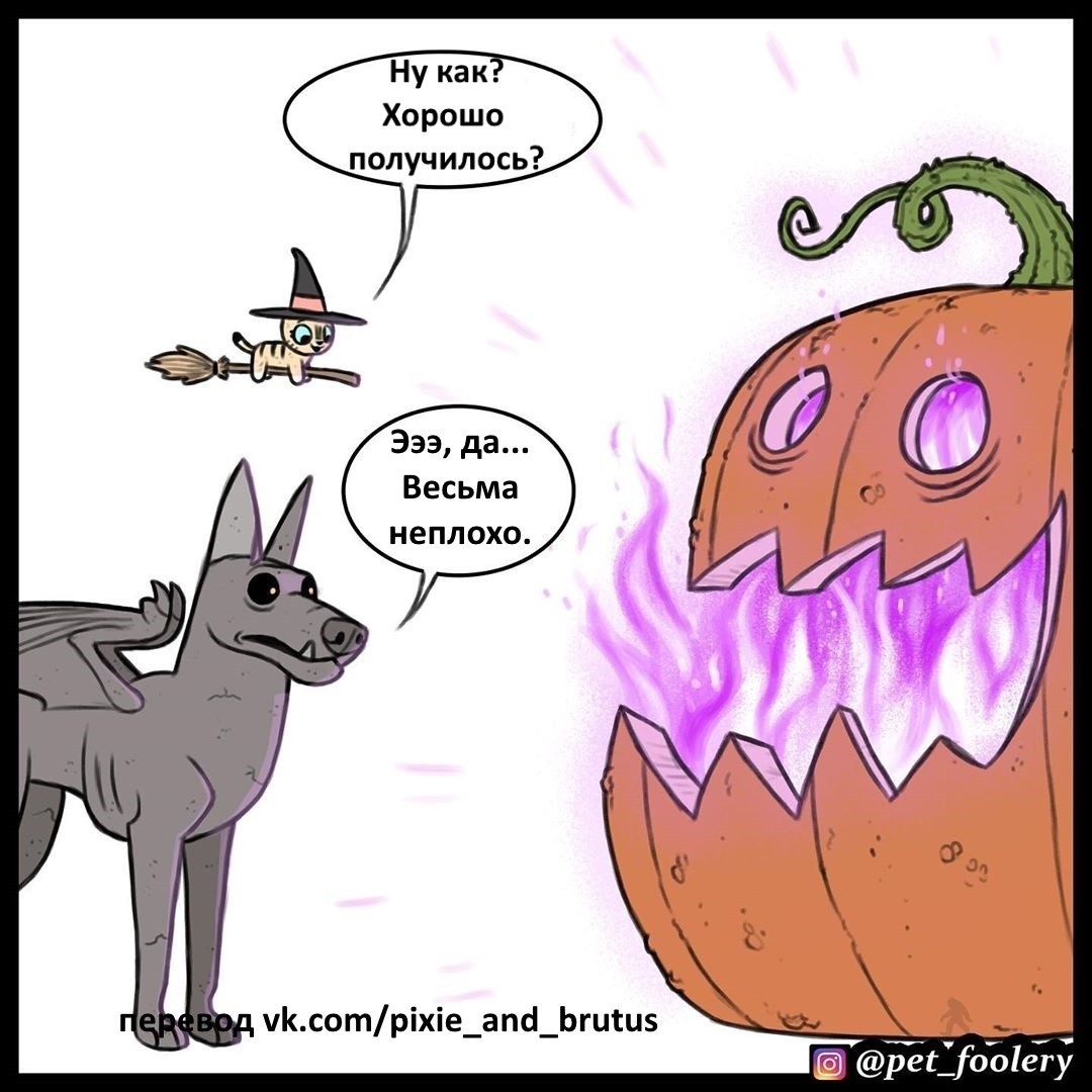 Halloween. - Comics, Pet foolery, Brutus and Pixie, cat, Dog, Halloween, Longpost