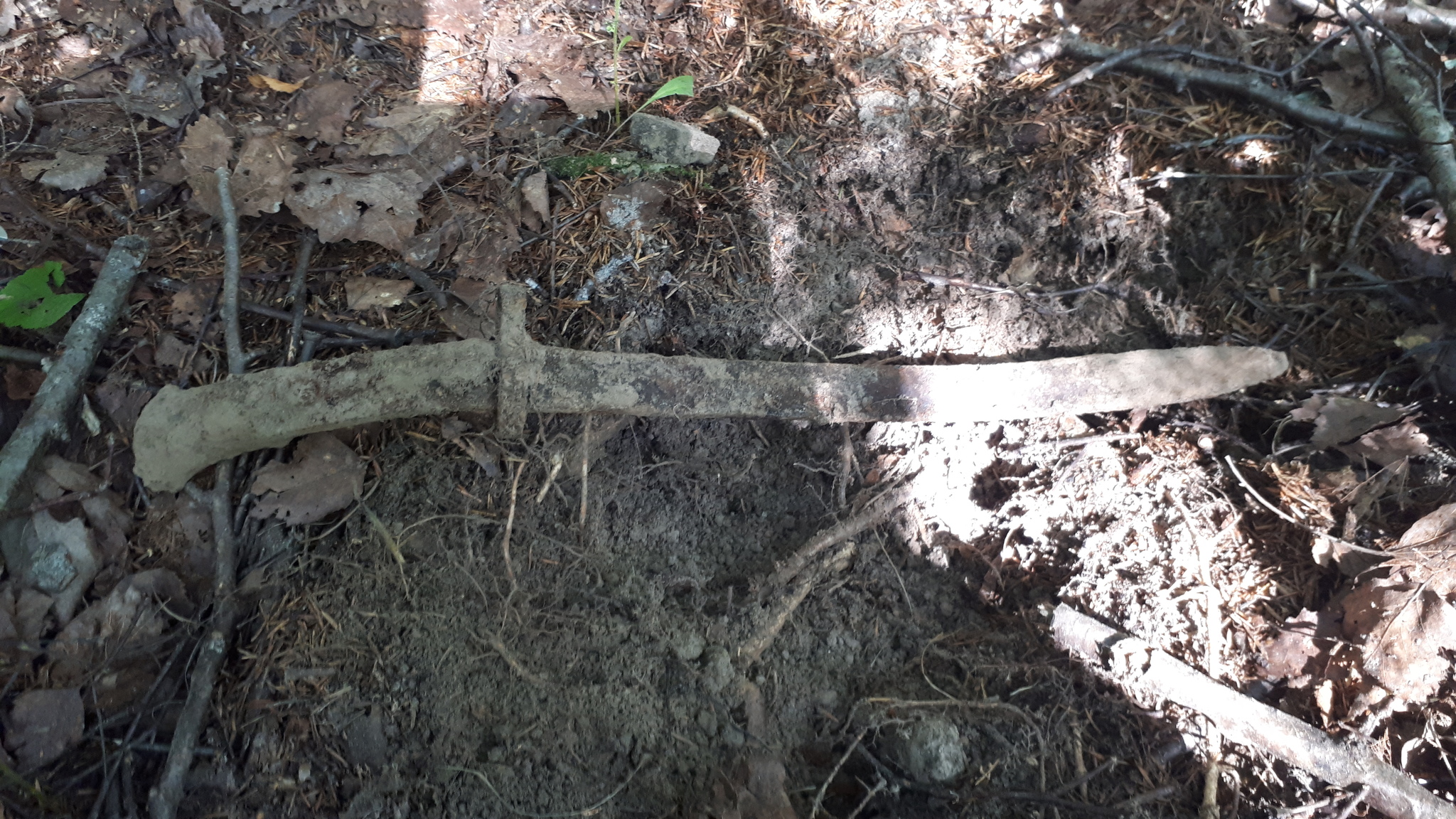 Walking in the autumn forest with a metal detector - My, Hobby, Treasure hunter, Longpost, Treasure hunt