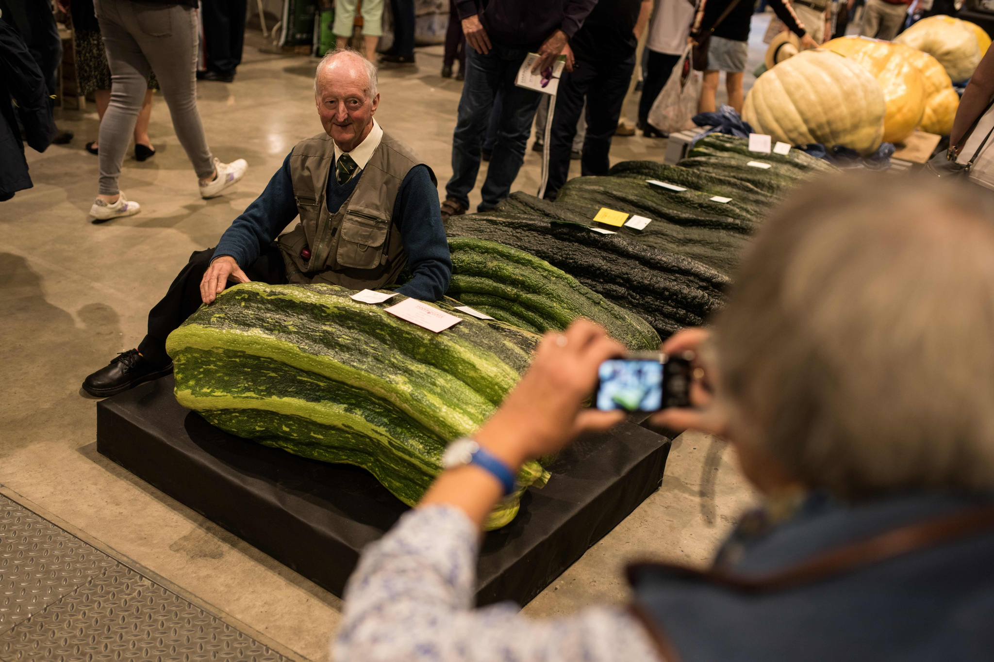 Giant Vegetable Competition, UK - Vegetables, Competition, , Gardening, Great Britain, Longpost, Giants