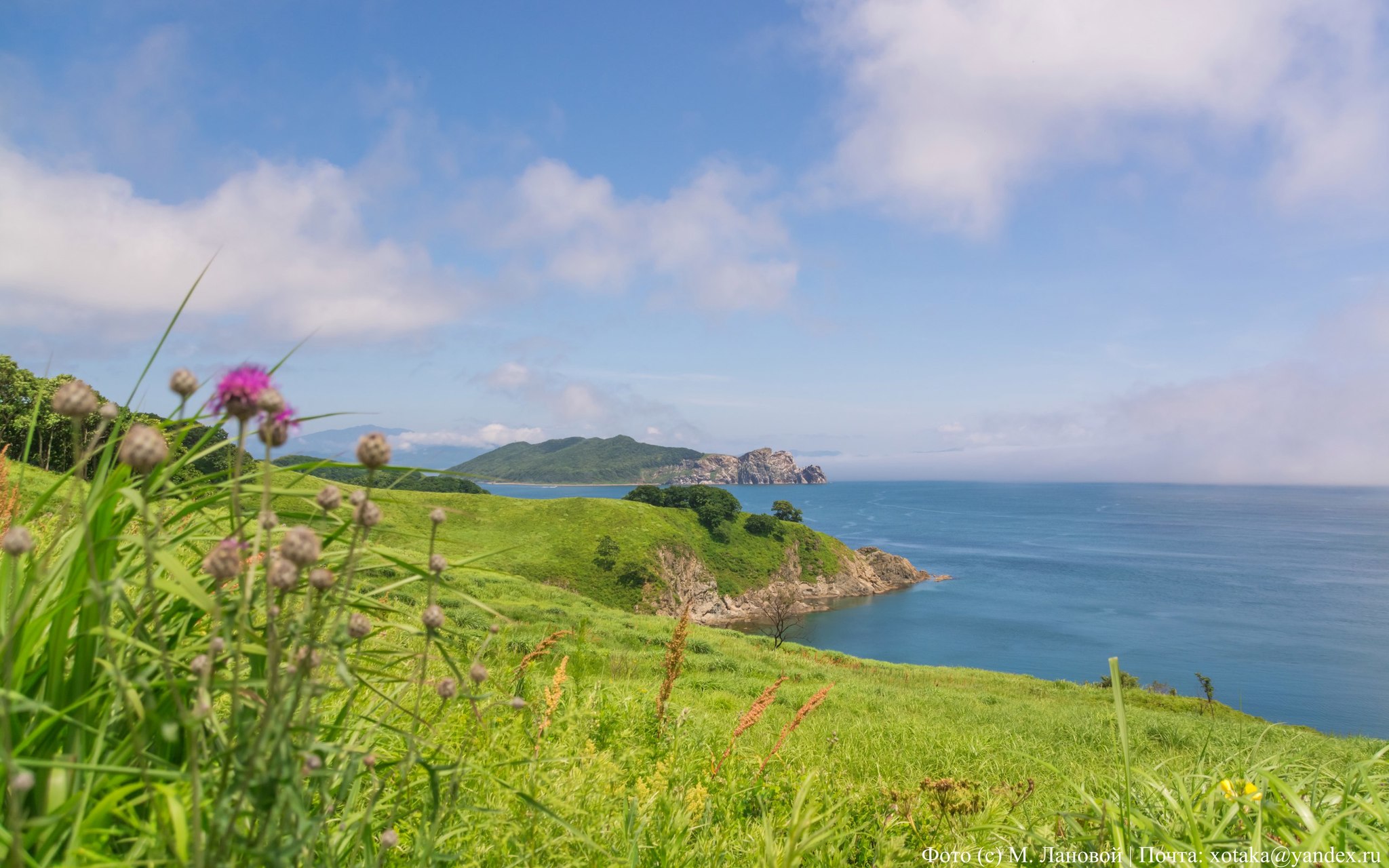 On the way to the beach - My, Find, Primorsky Krai, Travels, Beginning photographer, The photo, Travel across Russia, Sea, Longpost