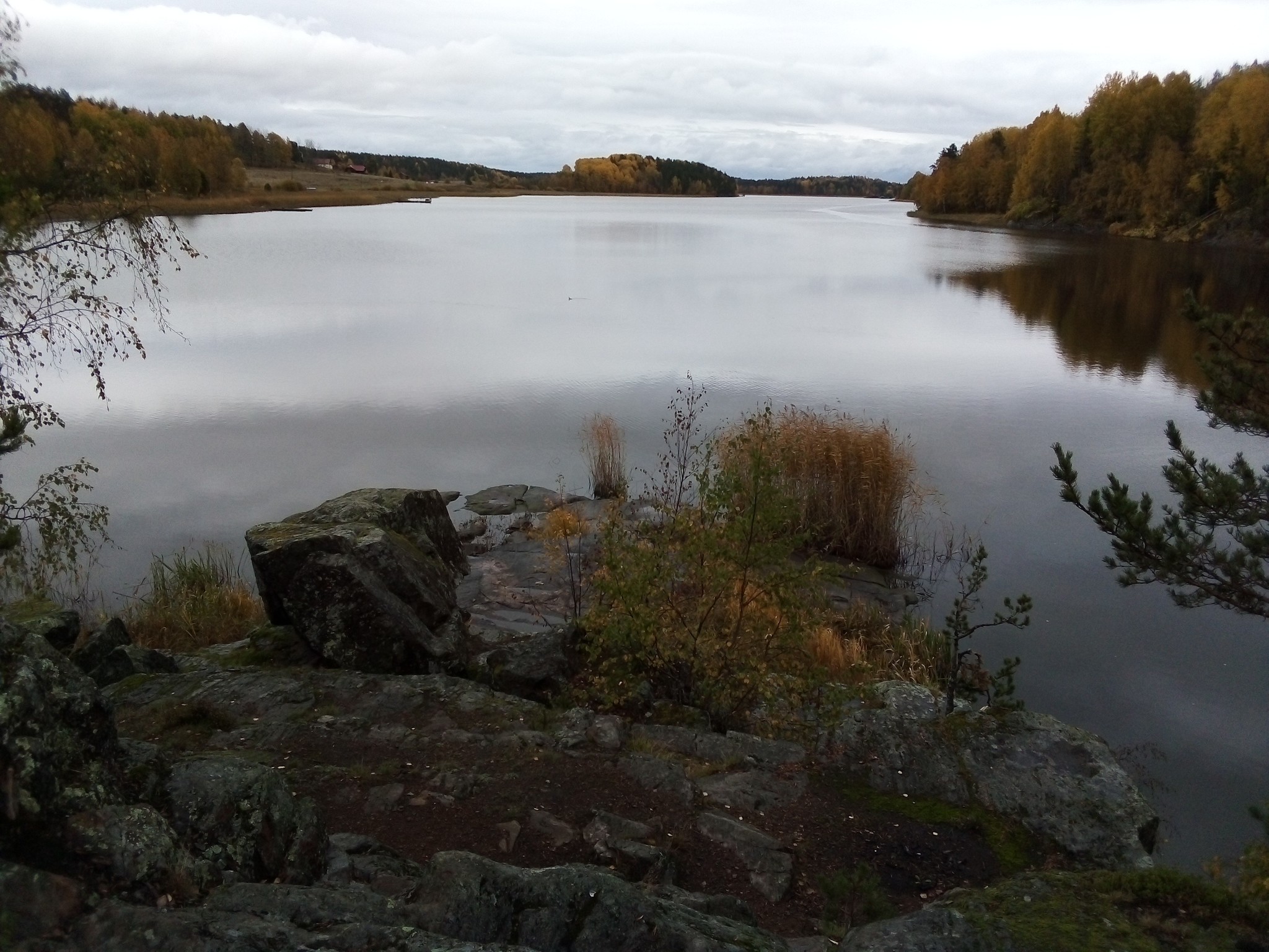 Autumn Karelia - My, Autumn, Republic of Karelia, Ladoga lake, Longpost, The photo, Nature, Карелия