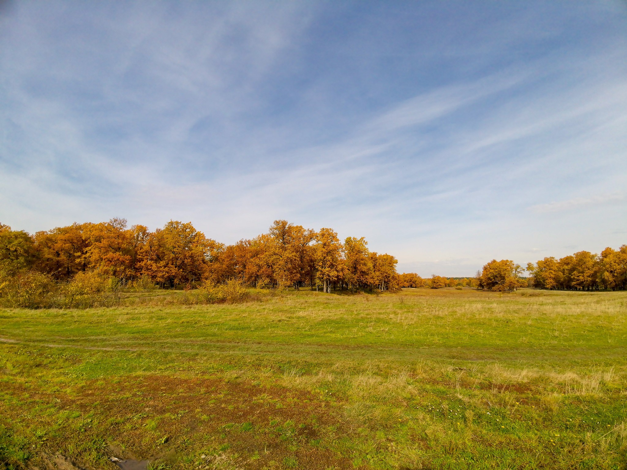 Autumn sketches - My, Dzerzhinsk, Mobile photography, Nature, Autumn, Longpost, What is autumn, Video, A bike