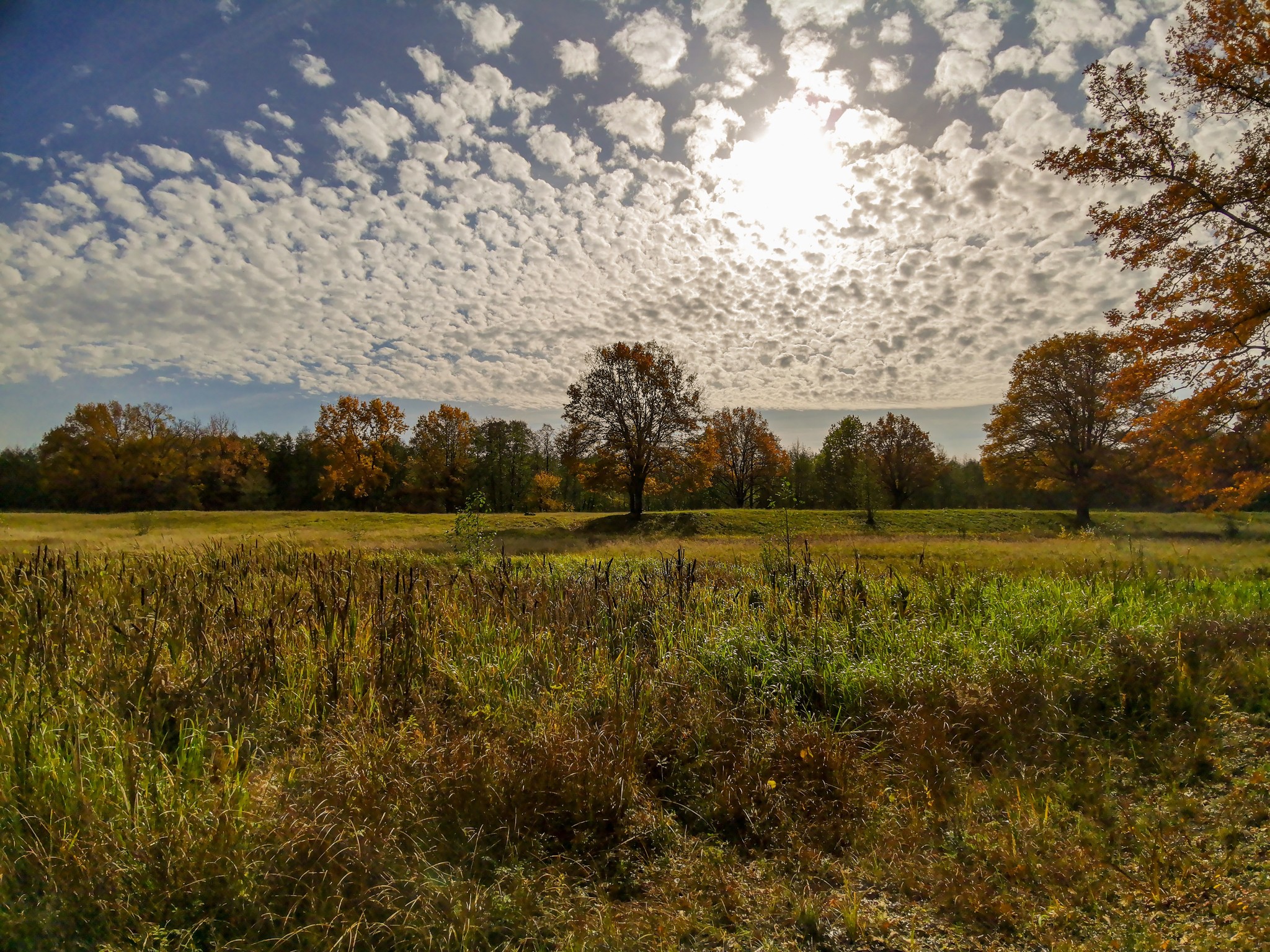 Autumn sketches - My, Dzerzhinsk, Mobile photography, Nature, Autumn, Longpost, What is autumn, Video, A bike