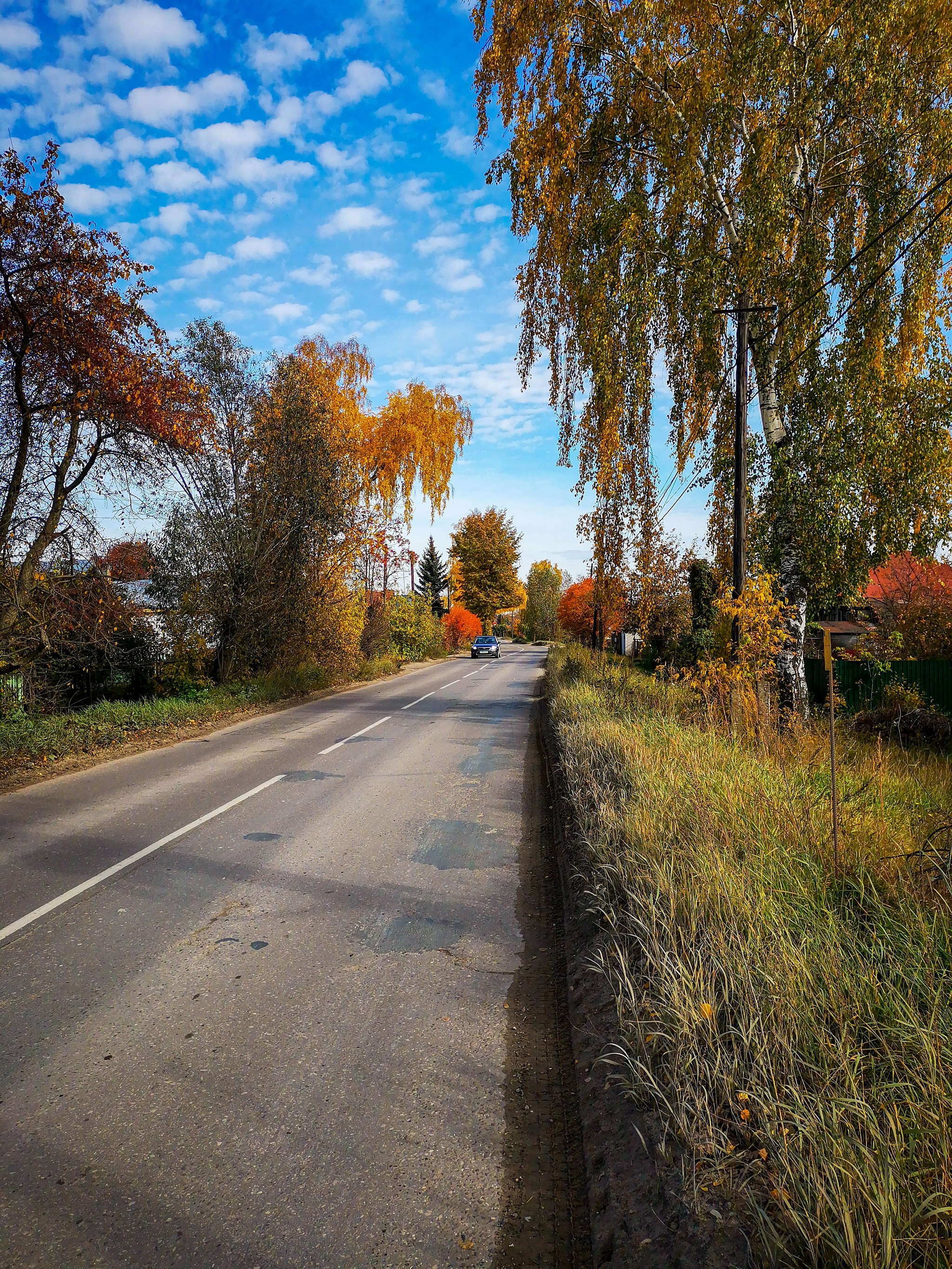 Autumn sketches - My, Dzerzhinsk, Mobile photography, Nature, Autumn, Longpost, What is autumn, Video, A bike