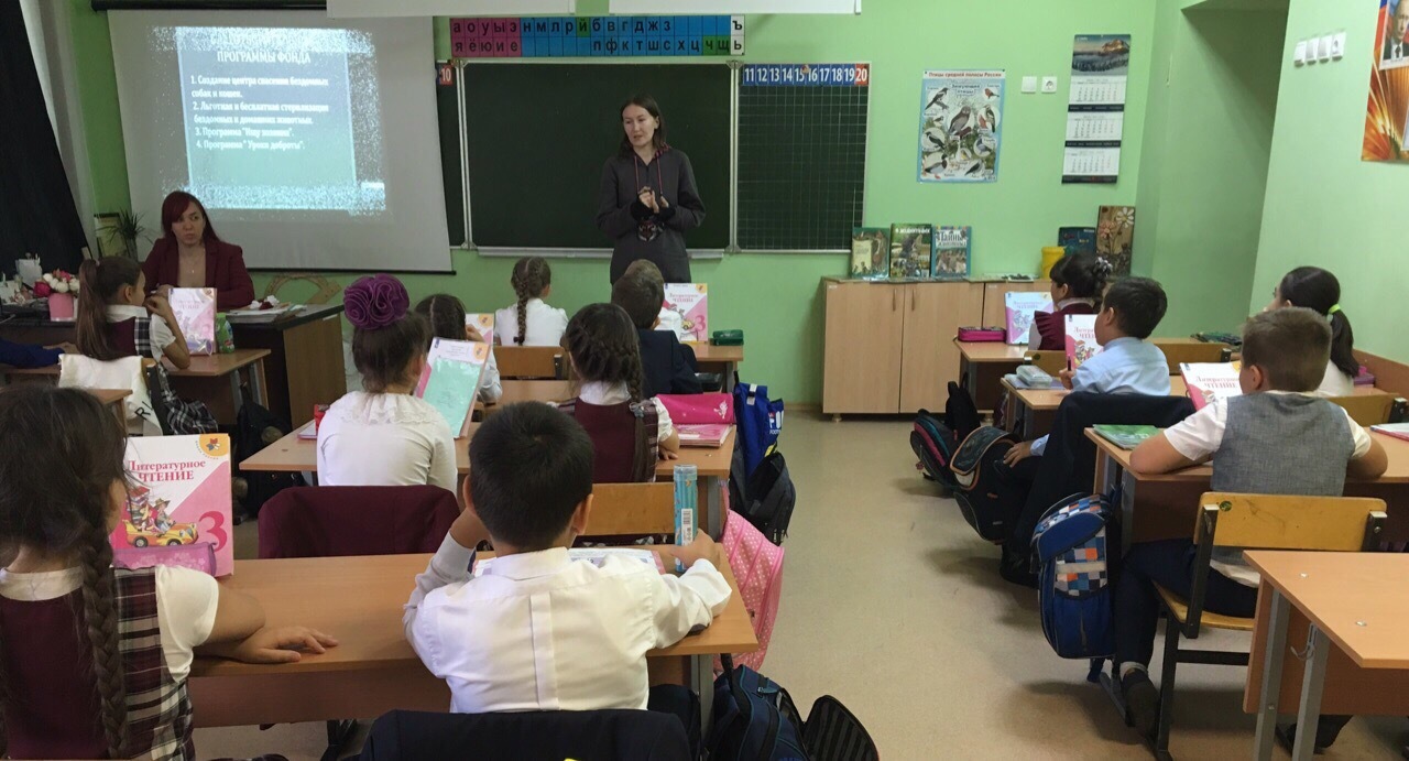 Kindness lessons in Orenburg - Kindness, Orenburg, Animal protection, Cooperation