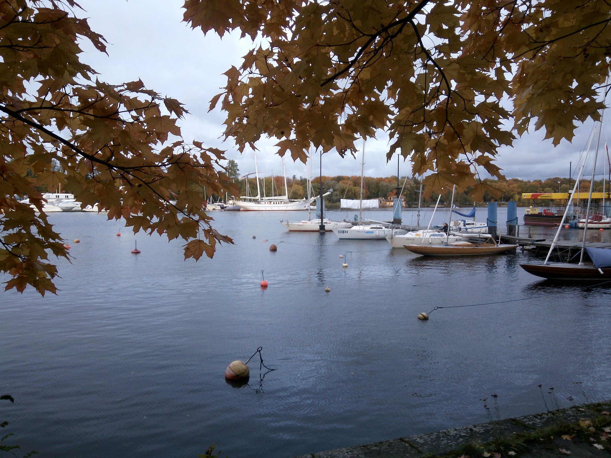 Autumn in St. Petersburg. - My, Autumn, Yacht, Longpost