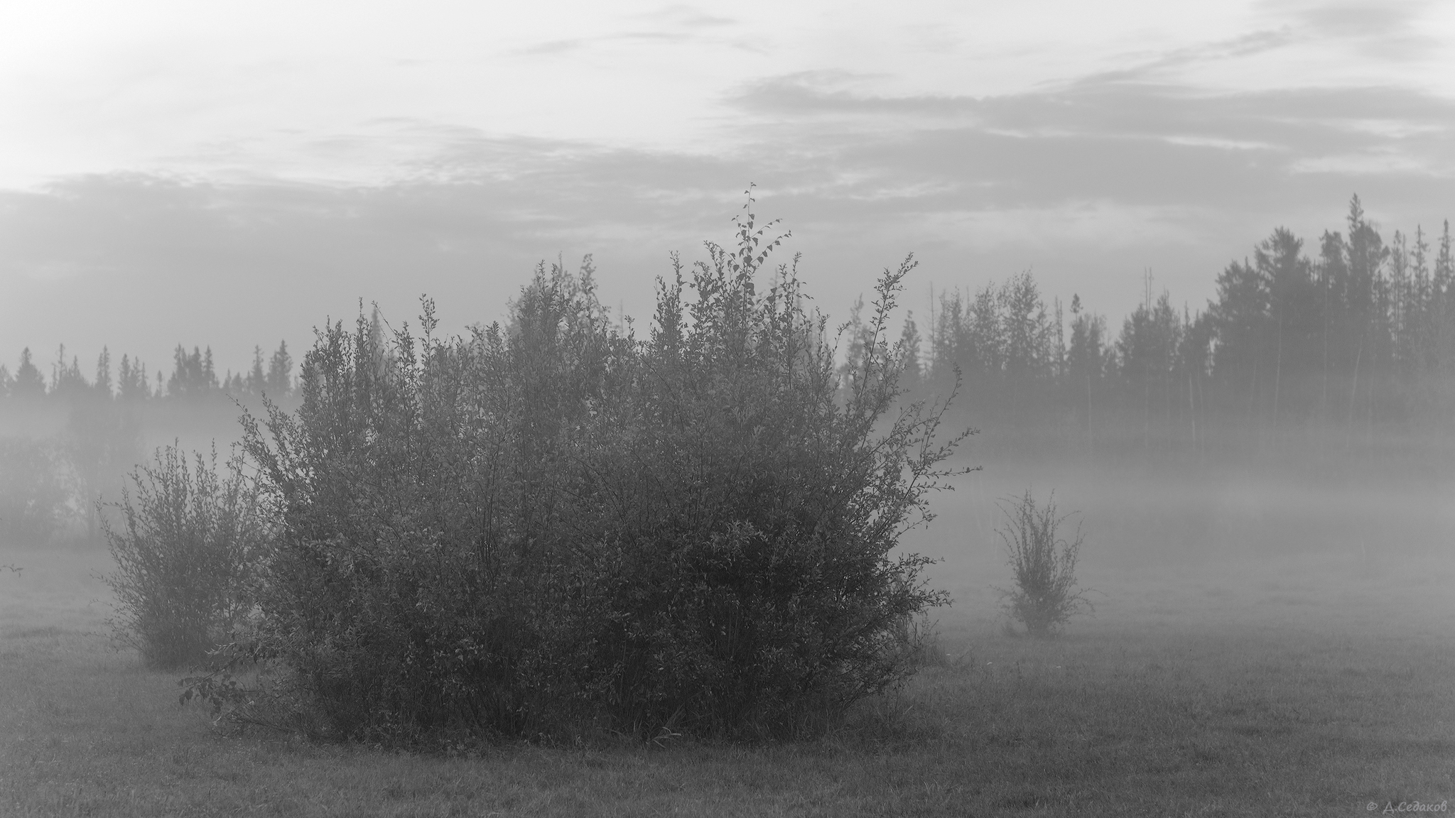 Вечерние туманы. - Моё, Якутия, Сунтар, Туман, Лес, Путешествие по России, Длиннопост