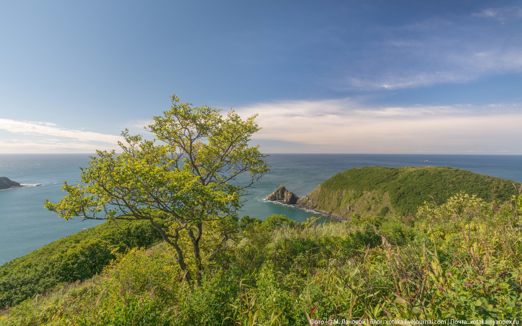 Coast of Nakhodka - My, Primorsky Krai, Find, Travels, Travel across Russia, Landscape, Beginning photographer, The photo, Longpost