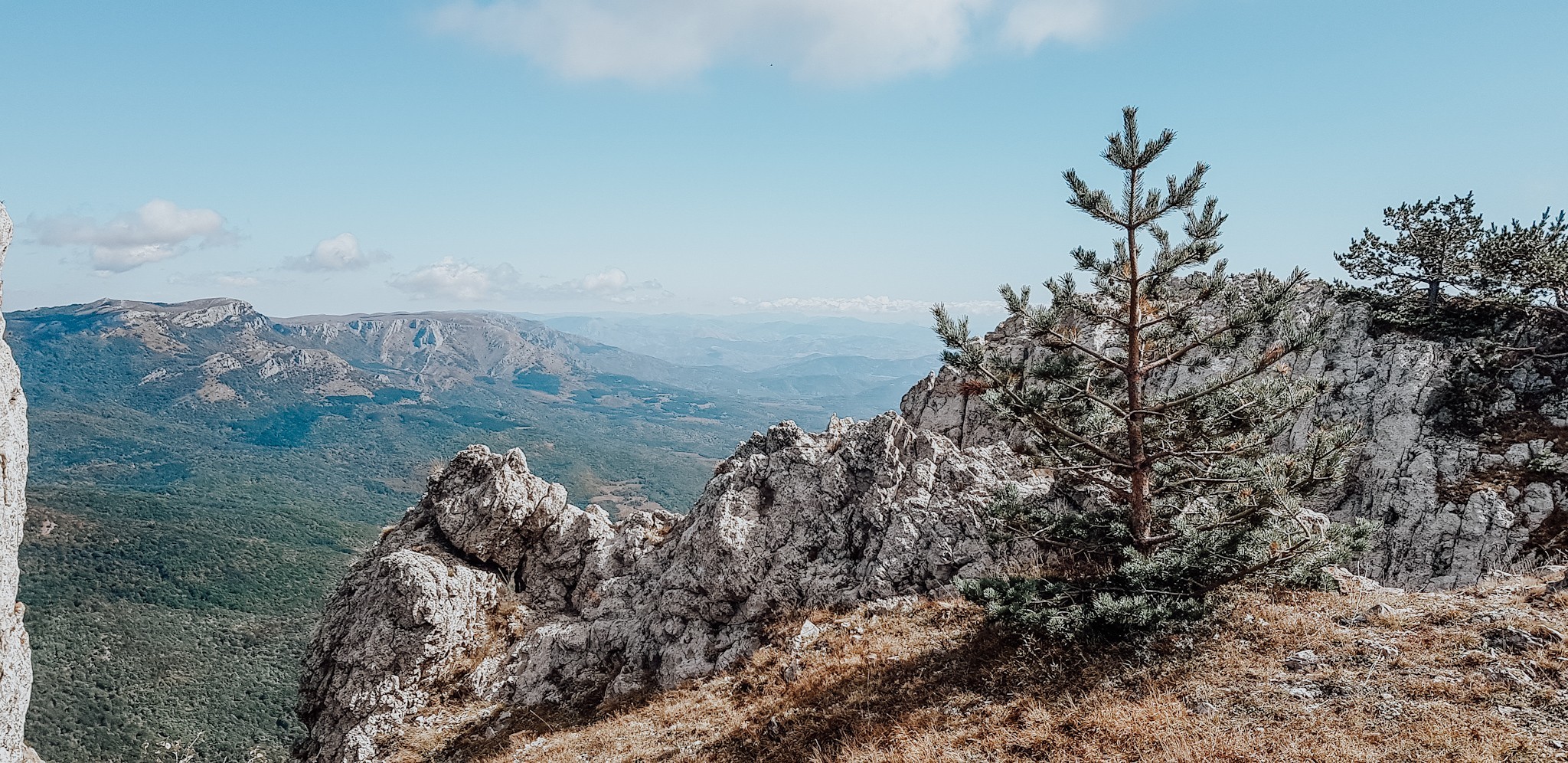 Большой мир убедил не ждать - Моё, Начинающий фотограф, Фотография, Длиннопост