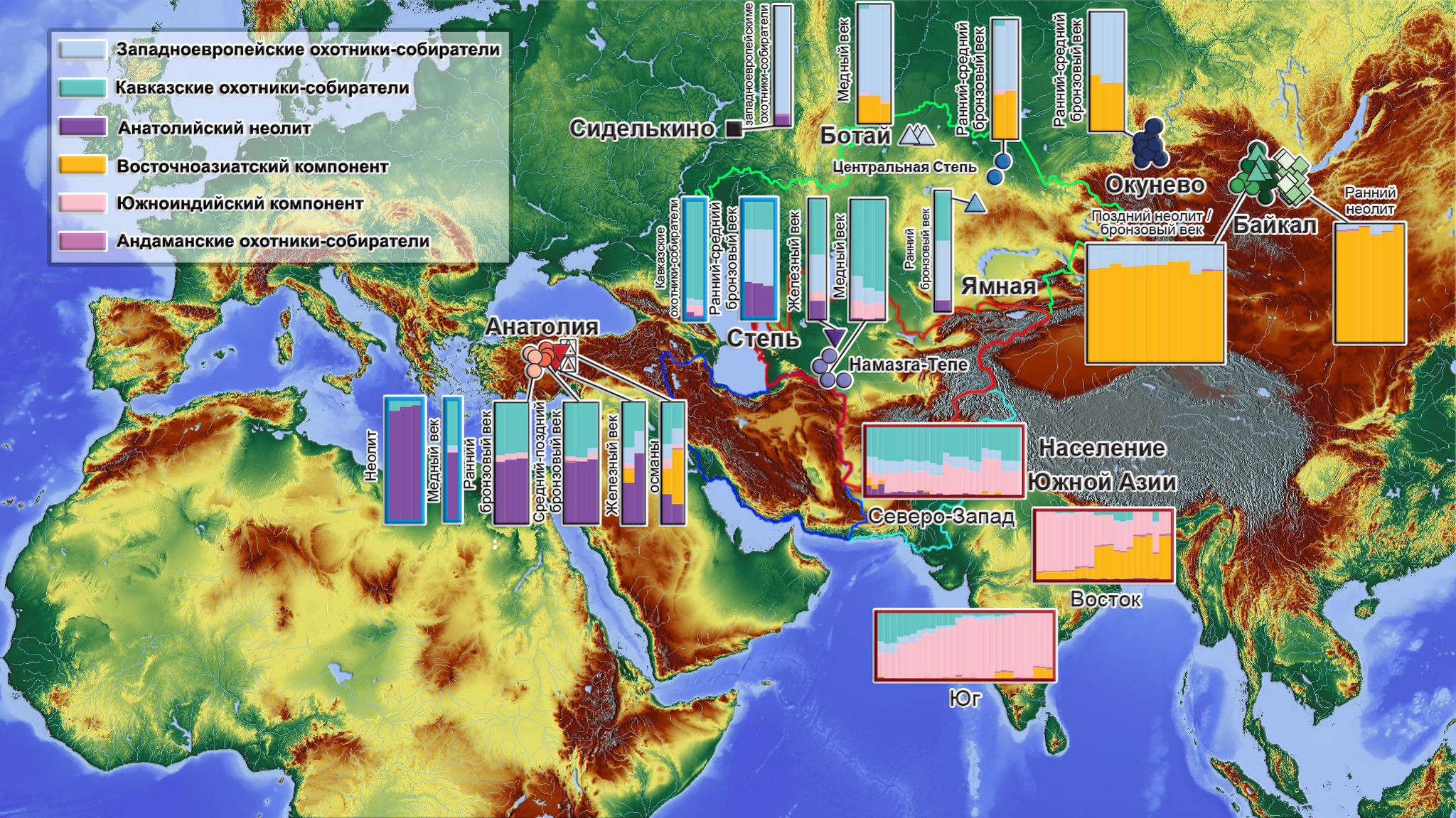 Population history of Central and South Asia according to ancient DNA - My, The science, Story, Population genetics, India, Southern Asia, Central Asia, Video, Longpost, Indo-Europeans, GIF