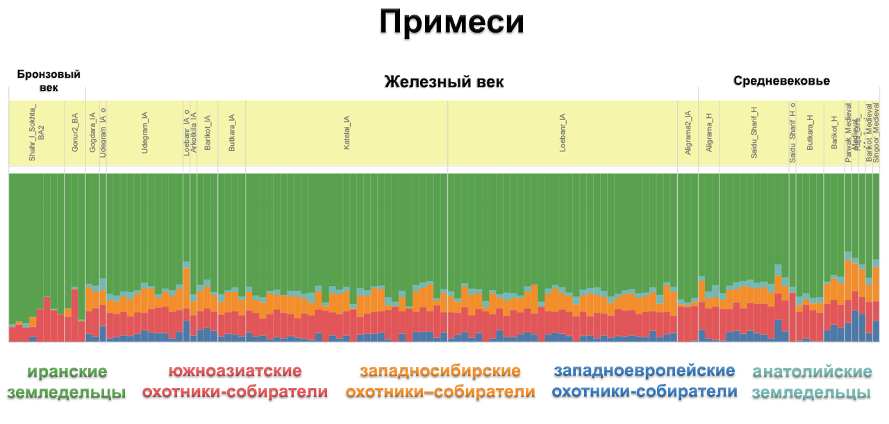 Population history of Central and South Asia according to ancient DNA - My, The science, Story, Population genetics, India, Southern Asia, Central Asia, Video, Longpost, Indo-Europeans, GIF