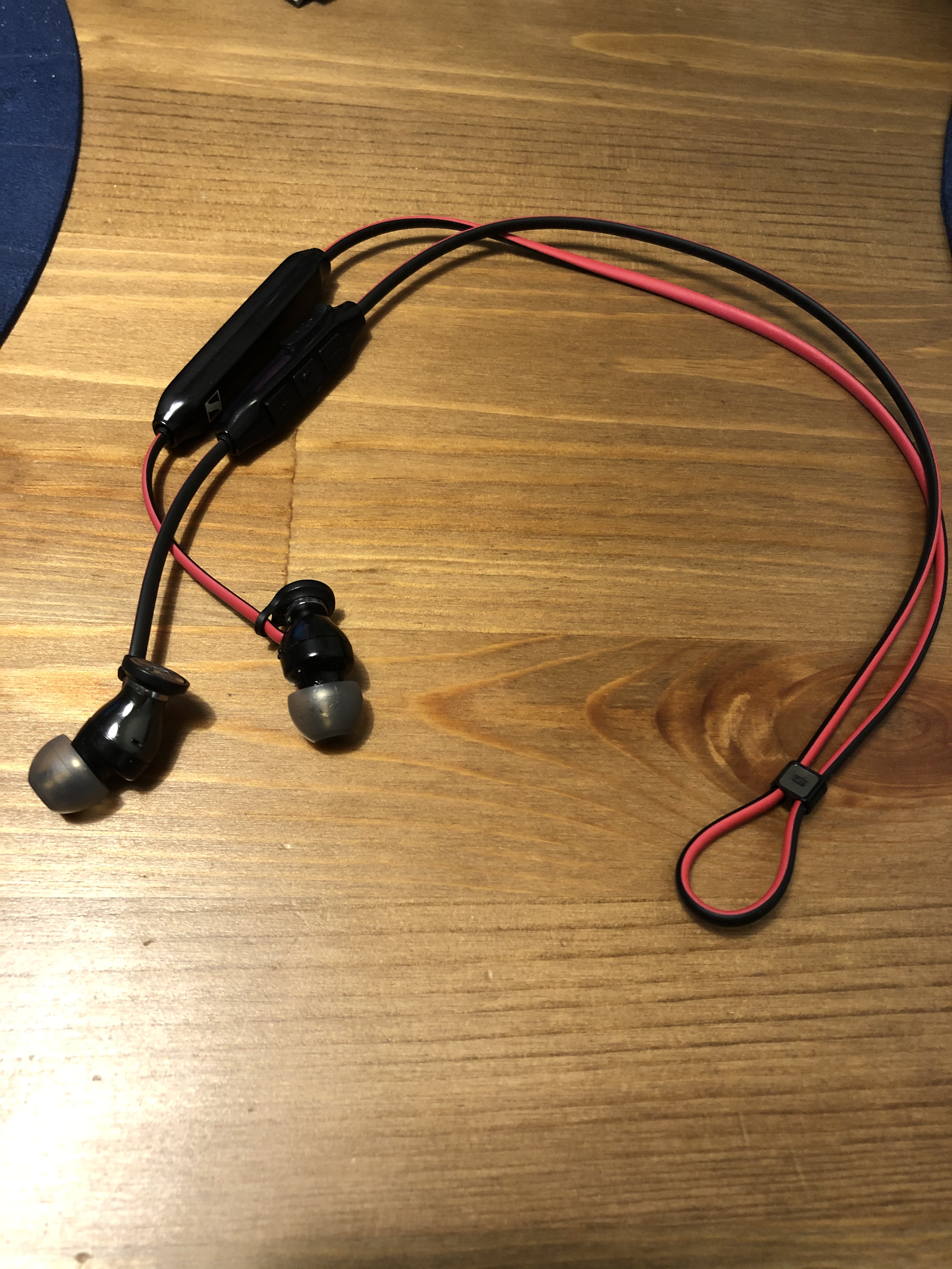 Sennheizer Momentum Free headphones found. - Lost things, Headphones, Budapest, Saint Petersburg, No rating