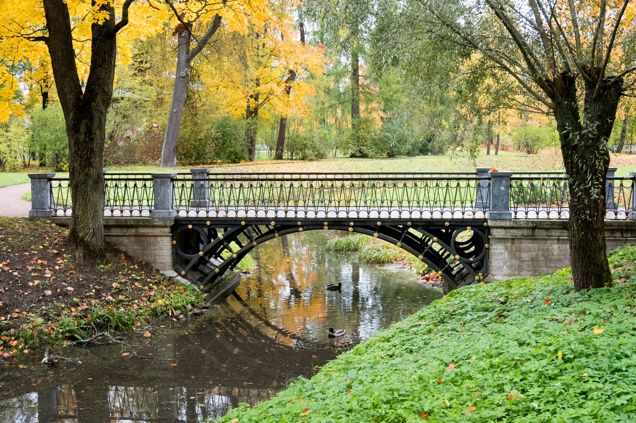 We must go rustling until everything is blown away! - My, Autumn, Catherine Park, Pushkin, The photo, Longpost