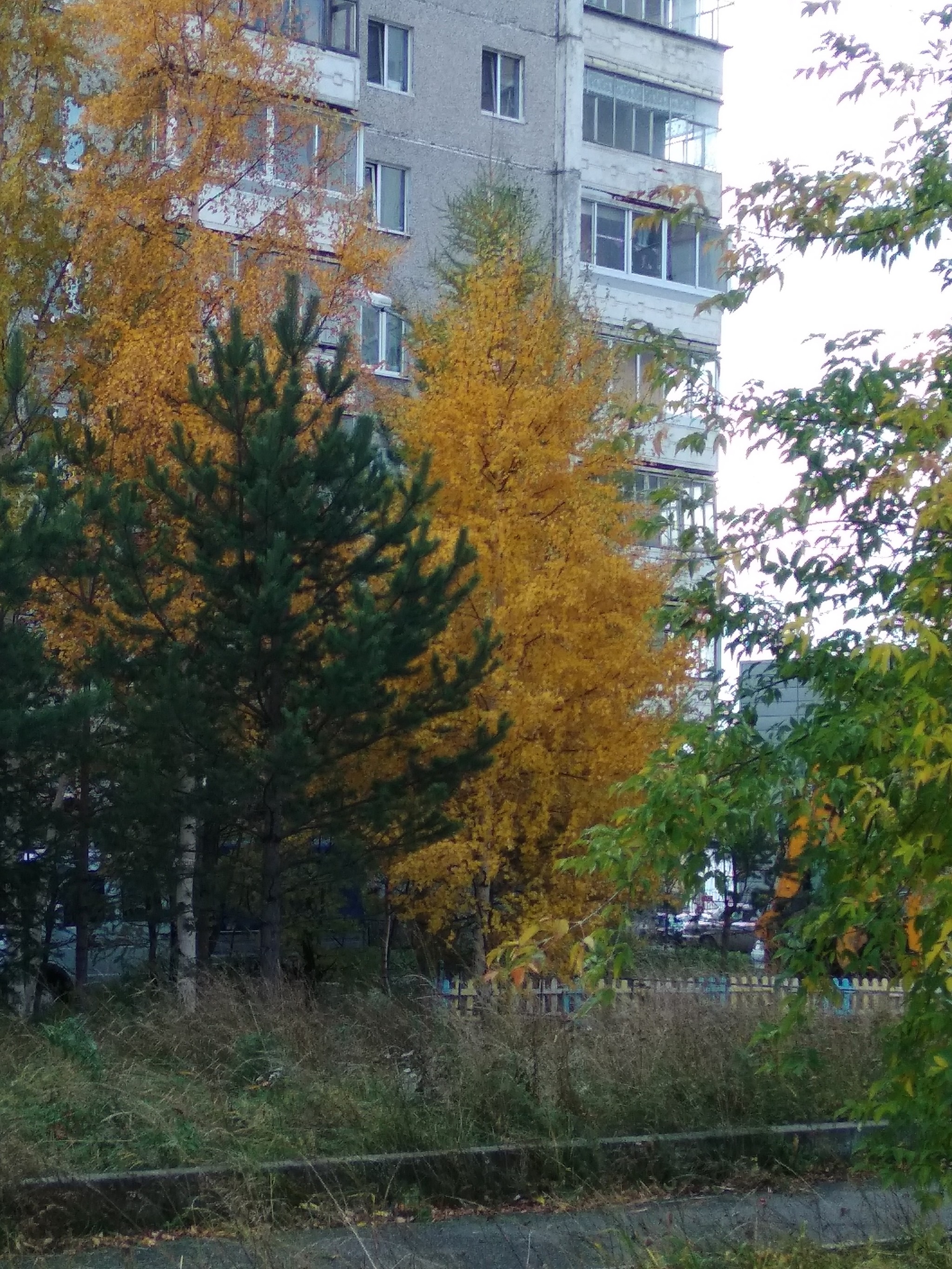 Autumn. Nizhny Tagil. - My, Nizhny Tagil, Autumn, The photo, Longpost