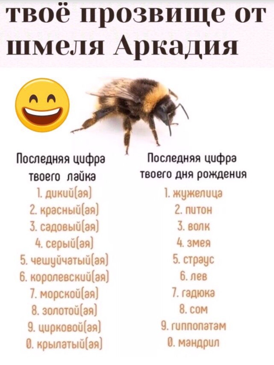 Что у вас получилось? - Шмель, ВКонтакте, Кто я, Мемы, Лол, Аркадий, Тест