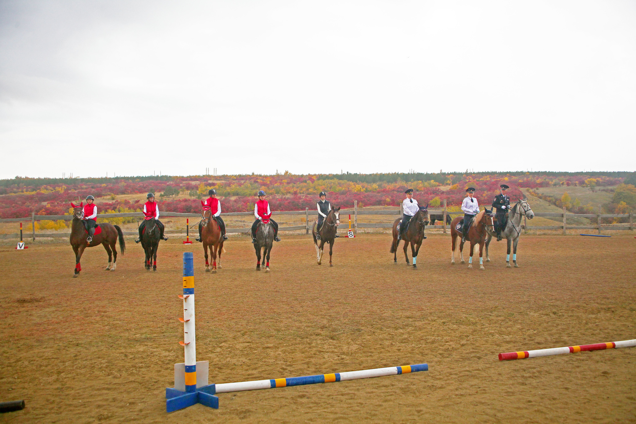 Chronicle of one competition - 2 - My, Horses, Competitions, Horseback Riding, Longpost