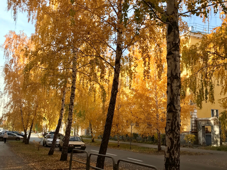 Sorry, couldn't resist - My, Longpost, Magnitogorsk, Autumn, The photo