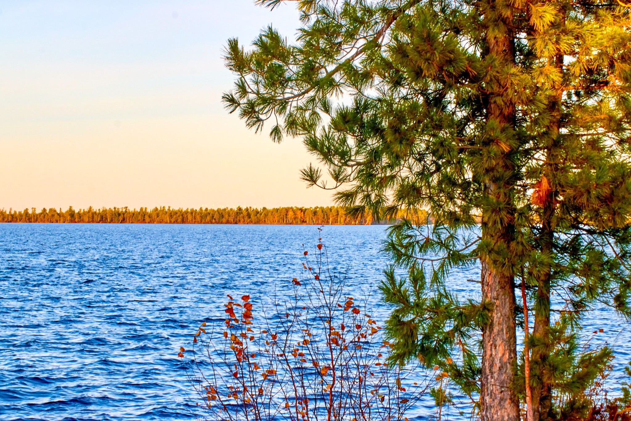 Bog. - My, Beginning photographer, Swamp, Swamp Walker, Lake, Off road, Canon 70d, Longpost