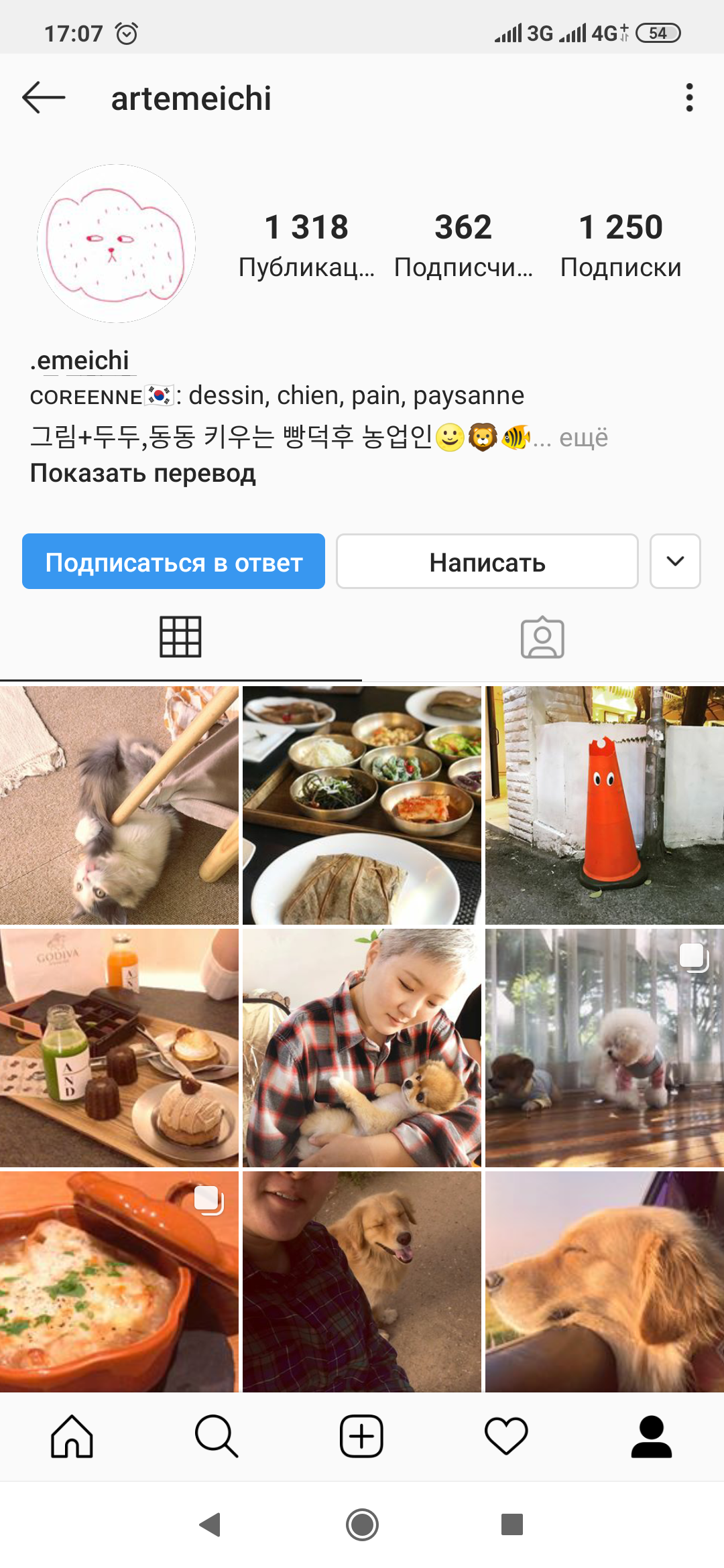 korean instagram - My, Instagrammers, Koreans, Dog, Longpost