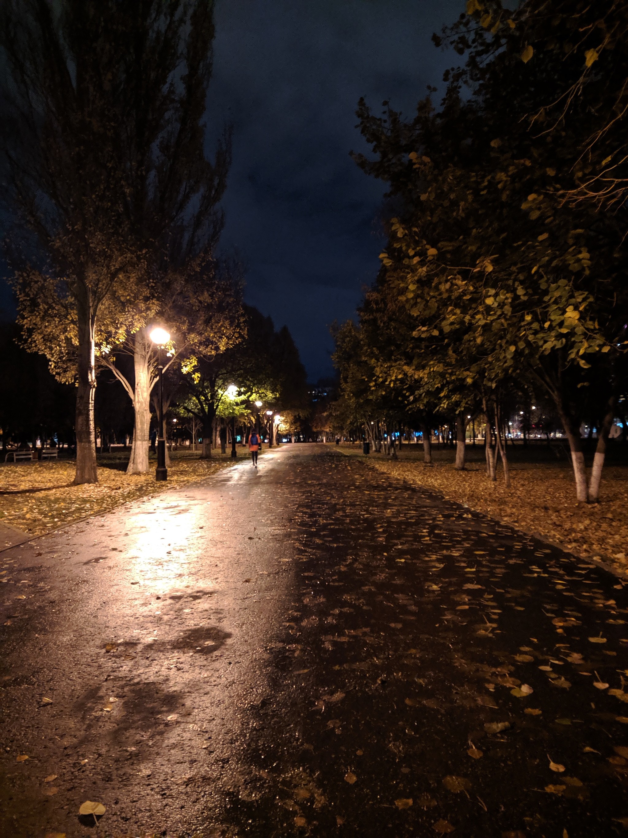 Evening in the park - My, Samara, Beginning photographer, The park, Longpost