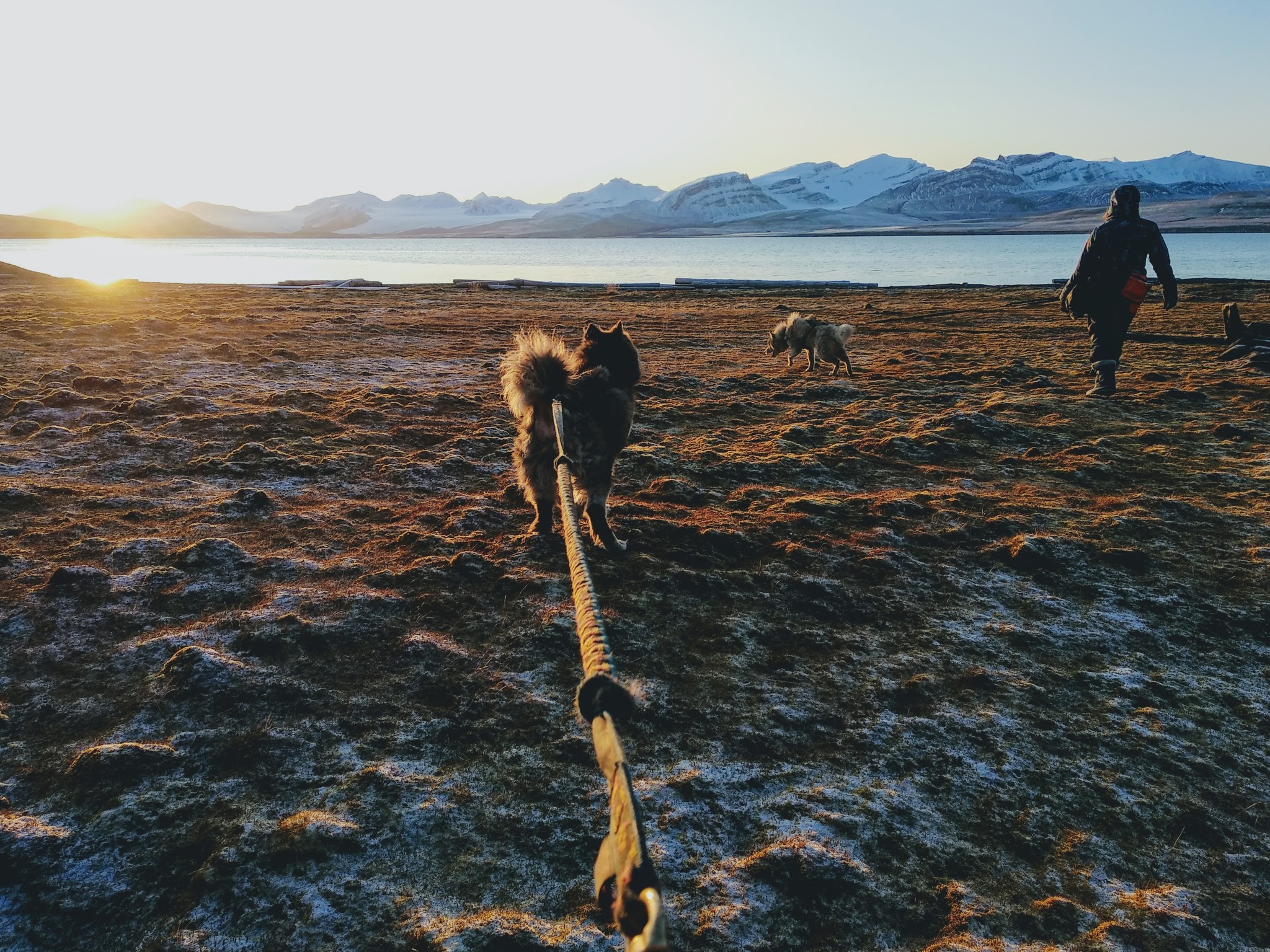 Мыс Финисет - Моё, Шпицберген, Svalbard, Рассвет, Длиннопост