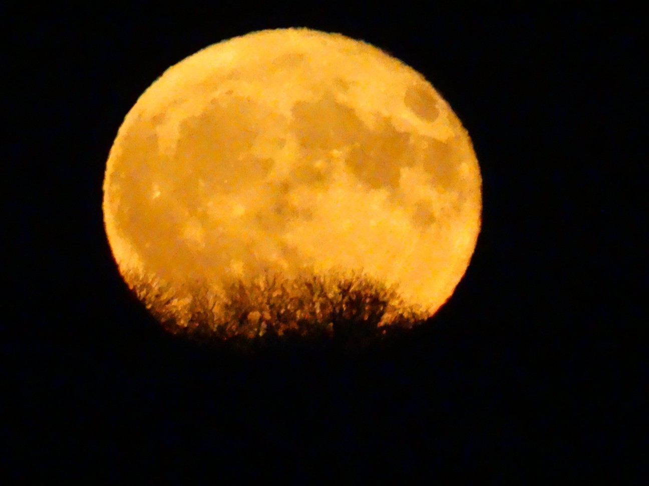 Full moon - My, Rostov-on-Don, The photo, Full moon, Longpost