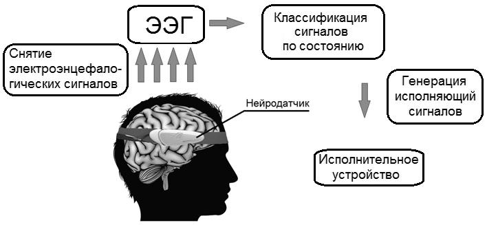 По-простому о нейроинтерфейсах. 1 часть - Нейроинтерфейс, Киберпанк, Бионика, Трансгуманизм, Экзо-Скелет, Мозг, Длиннопост, Экзоскелет