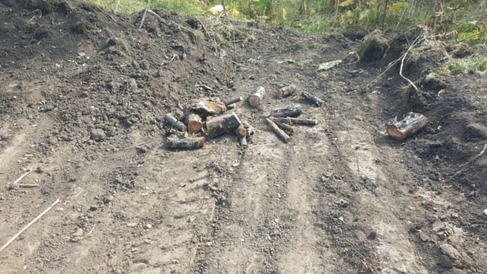 An apple orchard with an aport was destroyed in the mountains of Almaty - Kazakhstan, Almaty, Apples, Land plot, Garden, Theft, Felling, Video, Longpost, Negative