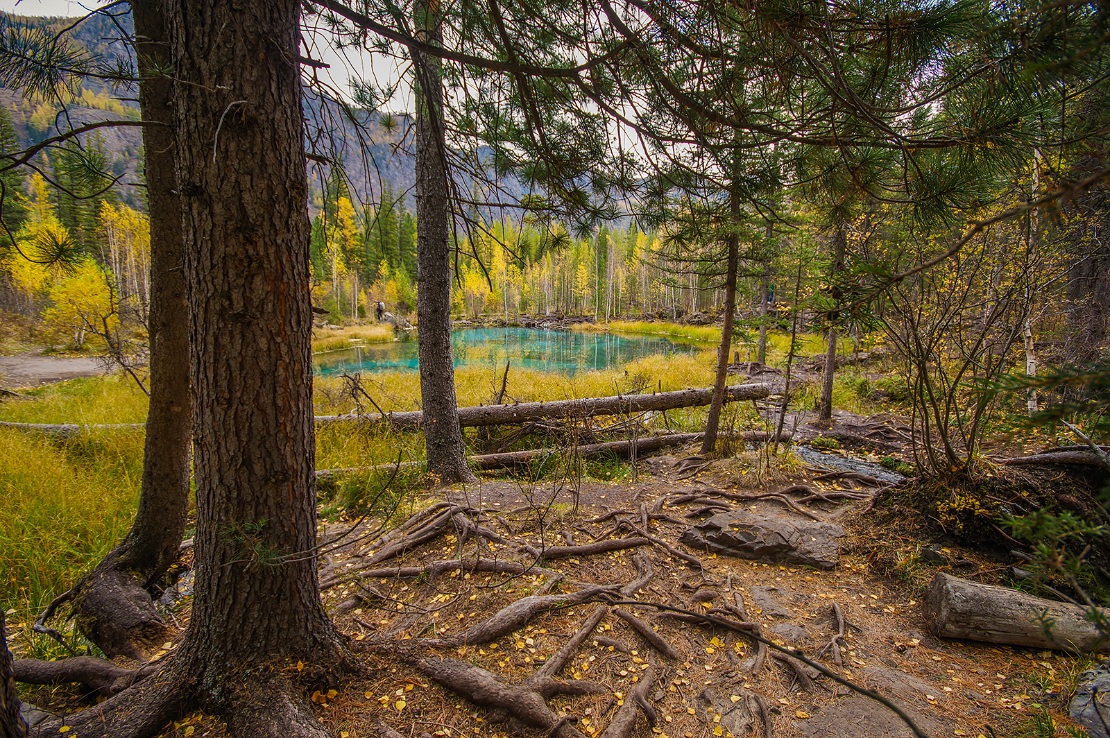 Geyser lake of Altai - My, Mountain Altai, Geyser Lake, Holidays in Russia, Camping, Travels, The photo, Michael, Longpost, Altai Republic