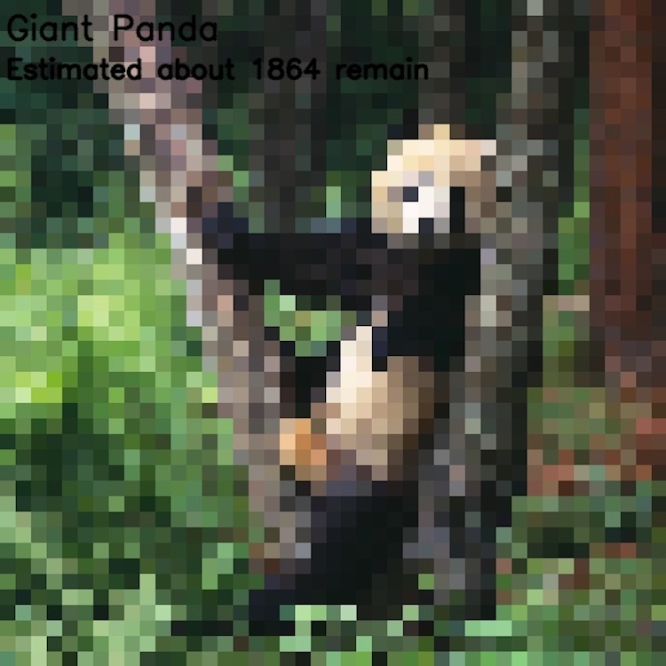 The number of pixels is equal to the number of endangered species - wildlife, Endangered species, Pixel, Comparison, Longpost