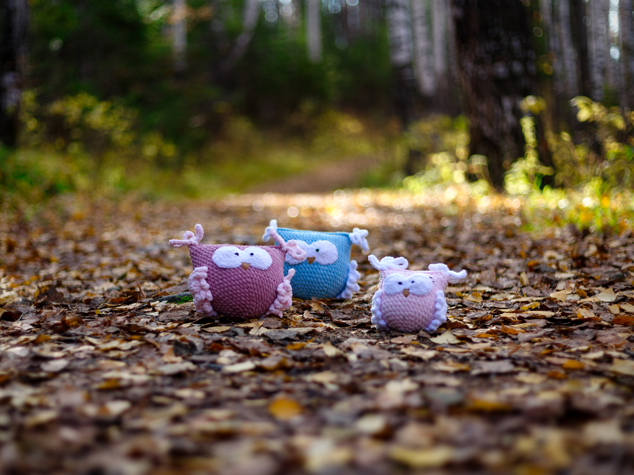 Autumn owls in amigurumi style... - My, Autumn, Forest, Needlework, Amigurumi