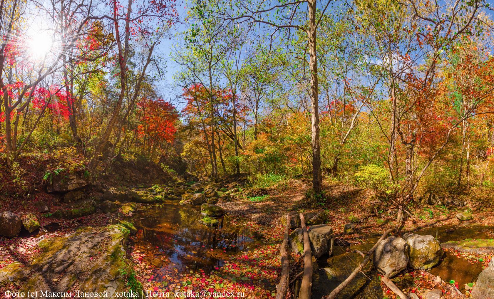 Key Kamenka-1 - My, Find, Beginning photographer, Partizansk, Taiga, Autumn, Forest, Primorsky Krai, Дальний Восток, Longpost