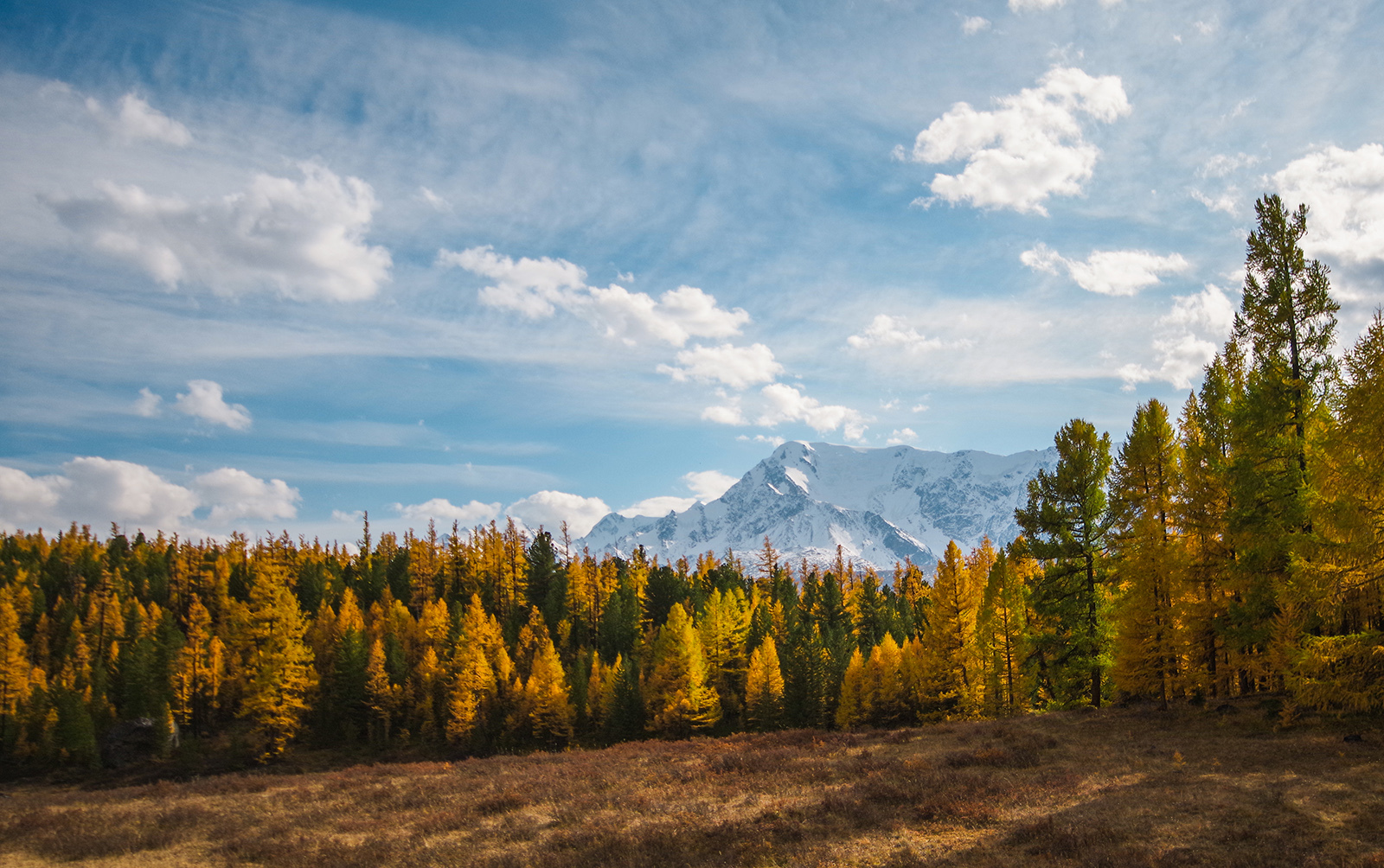 Katun and Chuya - My, Mountain Altai, Katun, Holidays in Russia, Travels, Michael, The photo, Camping, Leisure, Longpost, Altai Republic