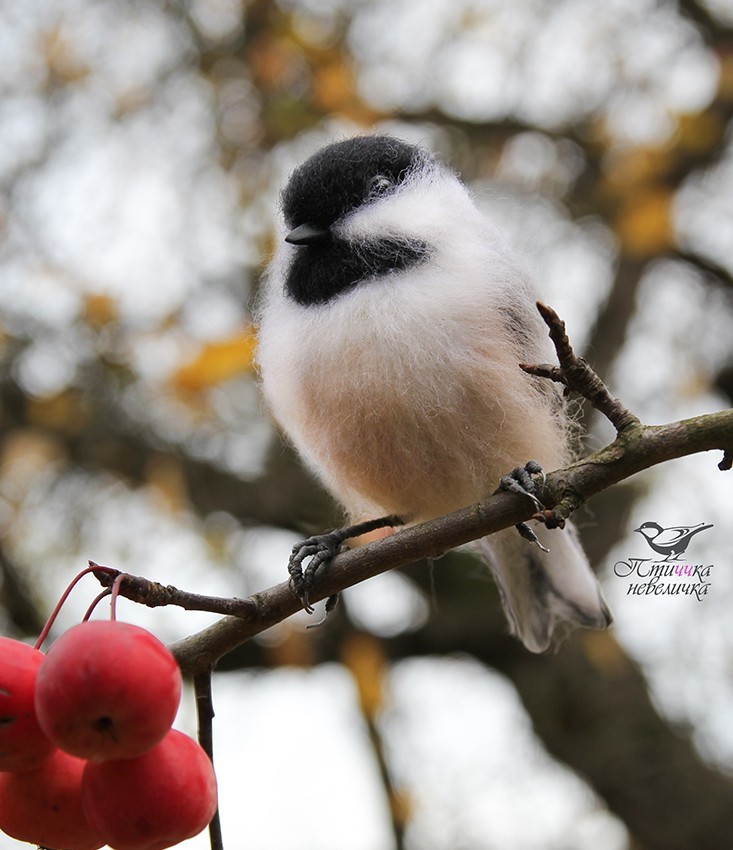 Brown-headed nut. Dry felting from wool. - My, Dry felting, Needlework without process, Birds, Needlework, Creation, Author's toy, Longpost