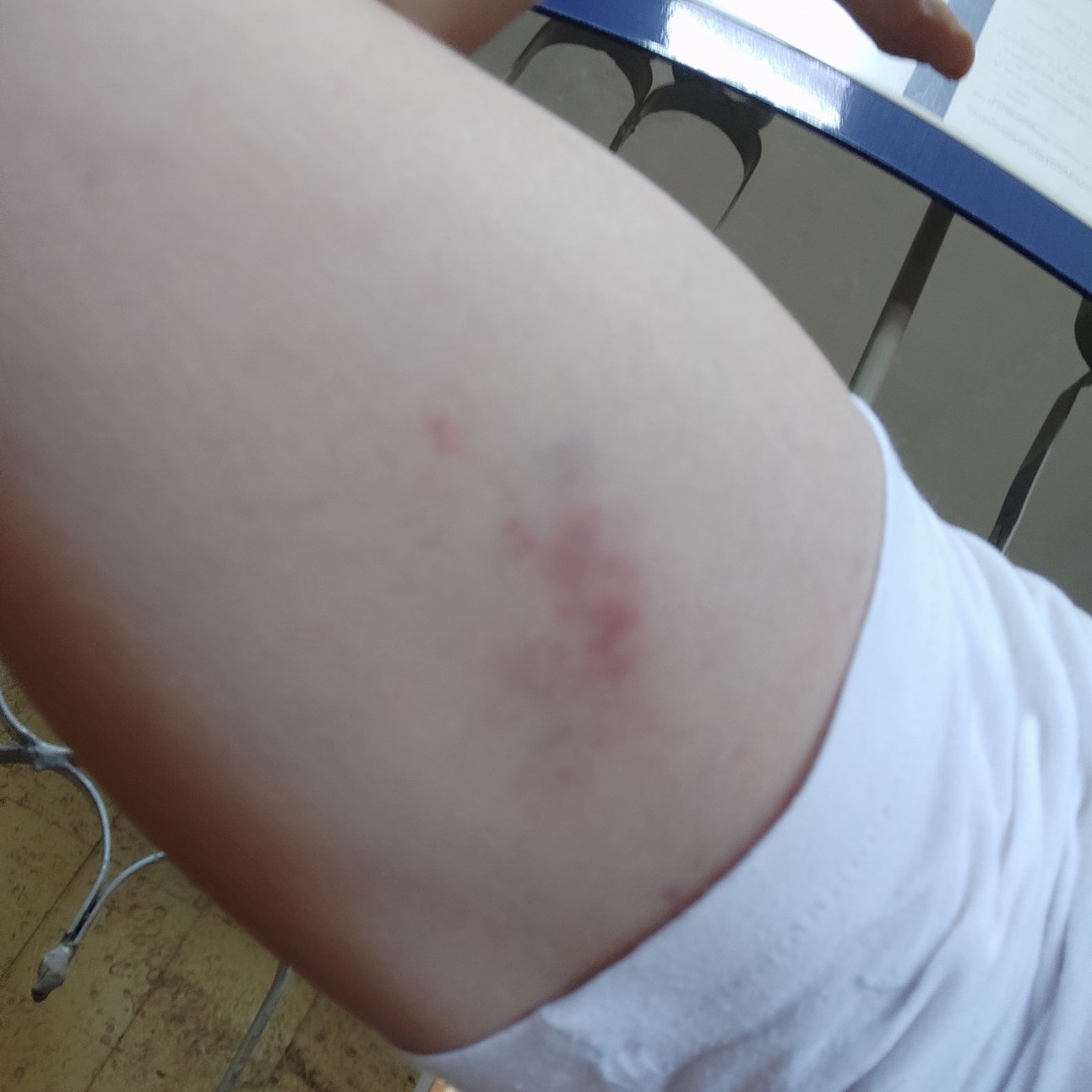 In Kerch, teachers attacked a student. They beat and choked. - Crimea, Crimea is ours, Kerch, , Lawlessness, Attack, Longpost