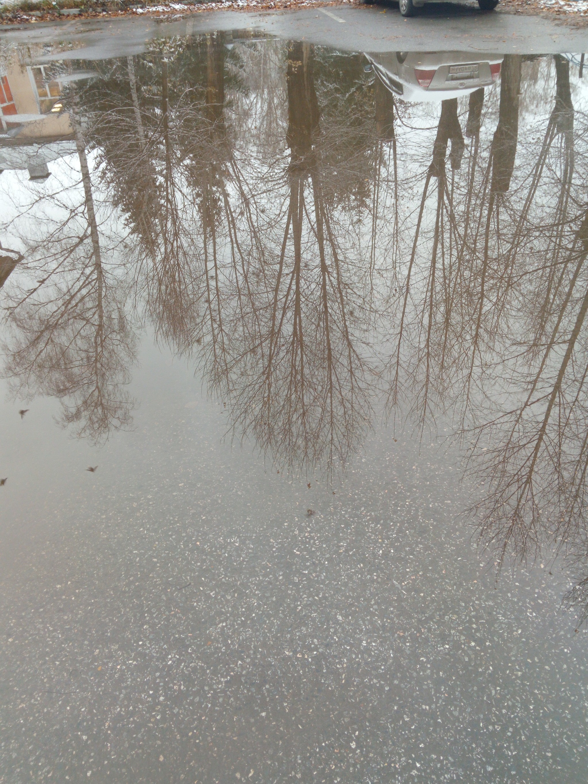 Puddle and some first snow - My, Tomsk, Photo on sneaker, , Autumn, Longpost