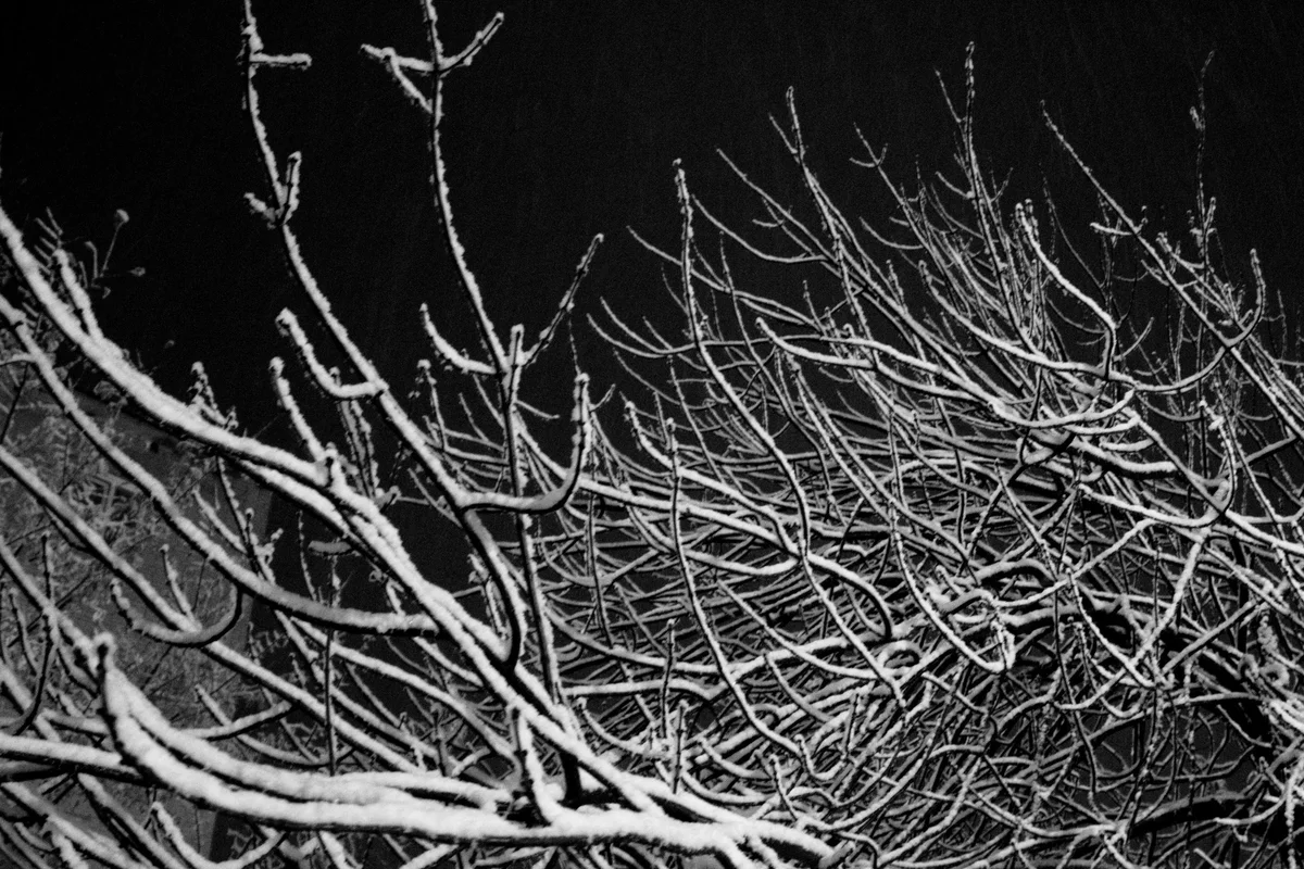 First snow - My, Blues, Snow, Night, Black and white, Black and white photo, Longpost