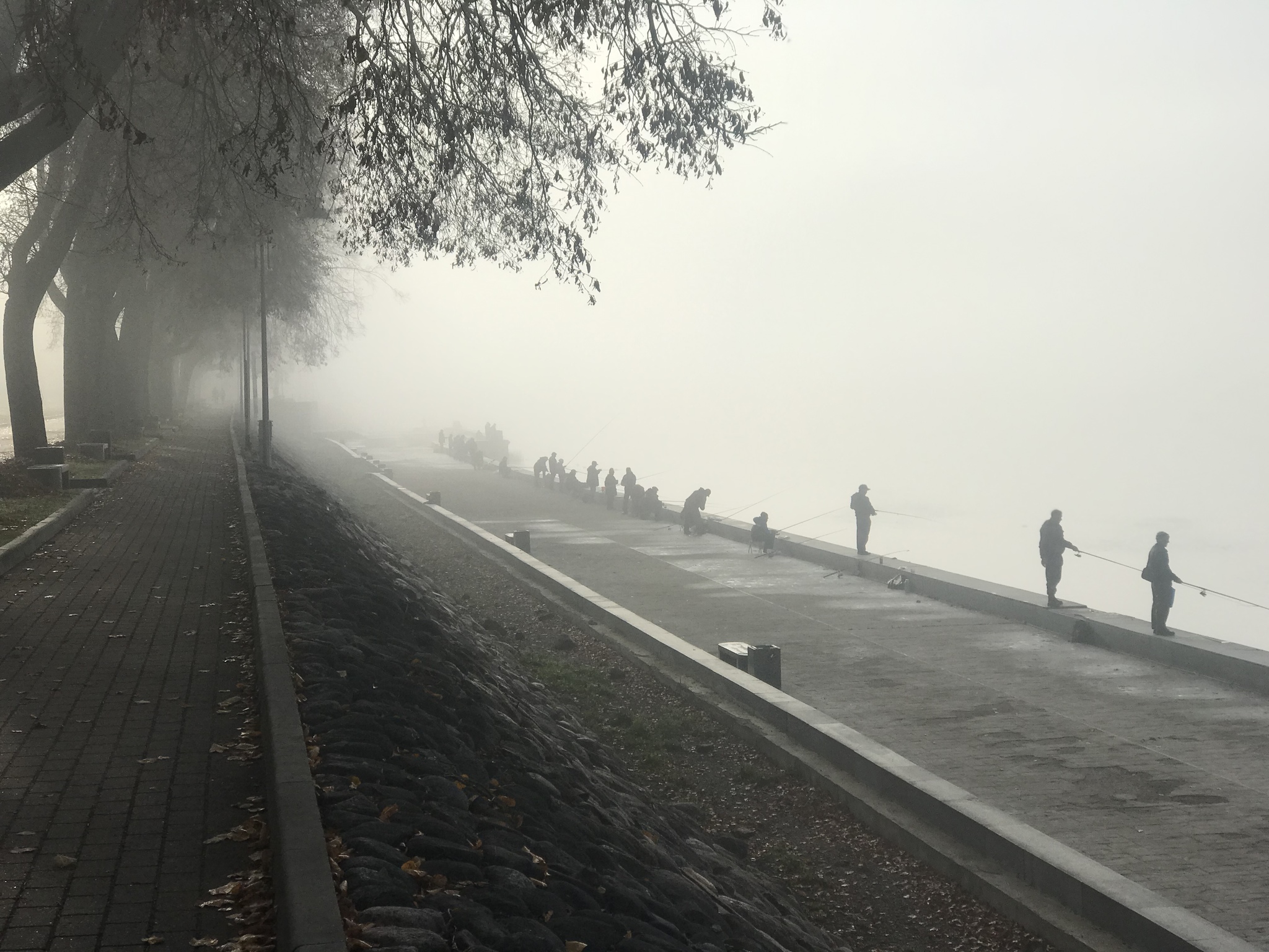 Yo-yo-hedgehog... - My, Fog, Pskov, Hedgehog in the fog, Longpost