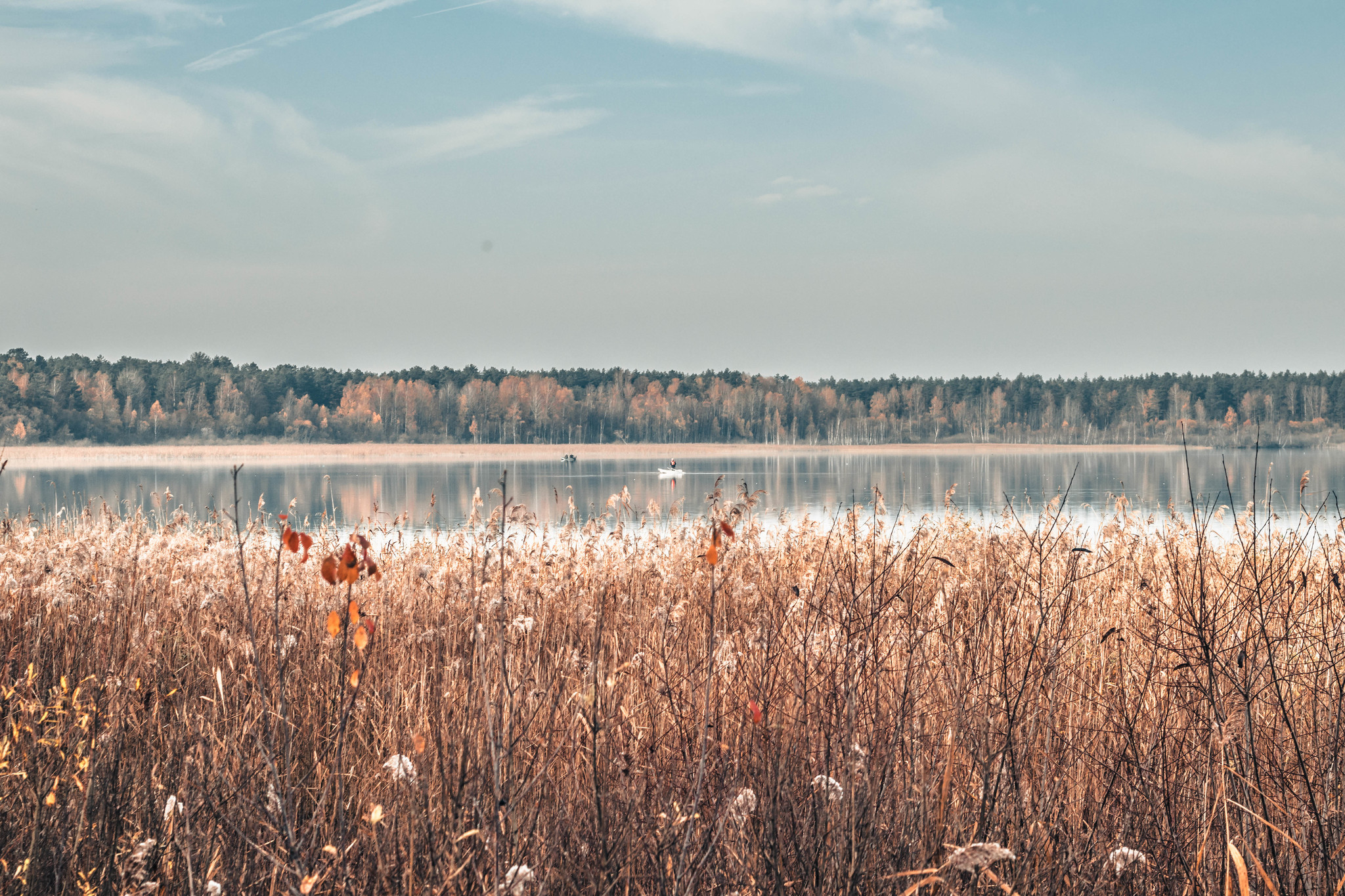 Three photos of autumn... Lithuania, surroundings of the city of Varena - My, Lithuania, Autumn, The photo