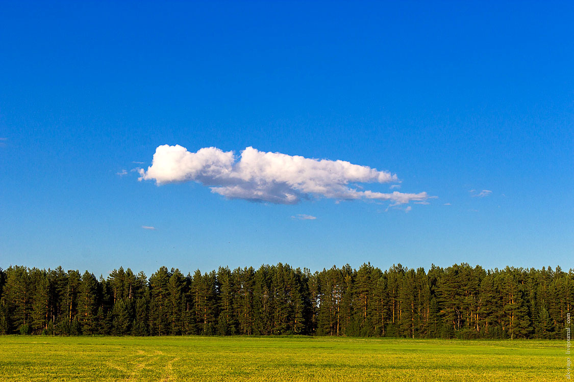 A small circle on bikes. - My, Travels, Bike ride, The photo, Kirov region, Longpost