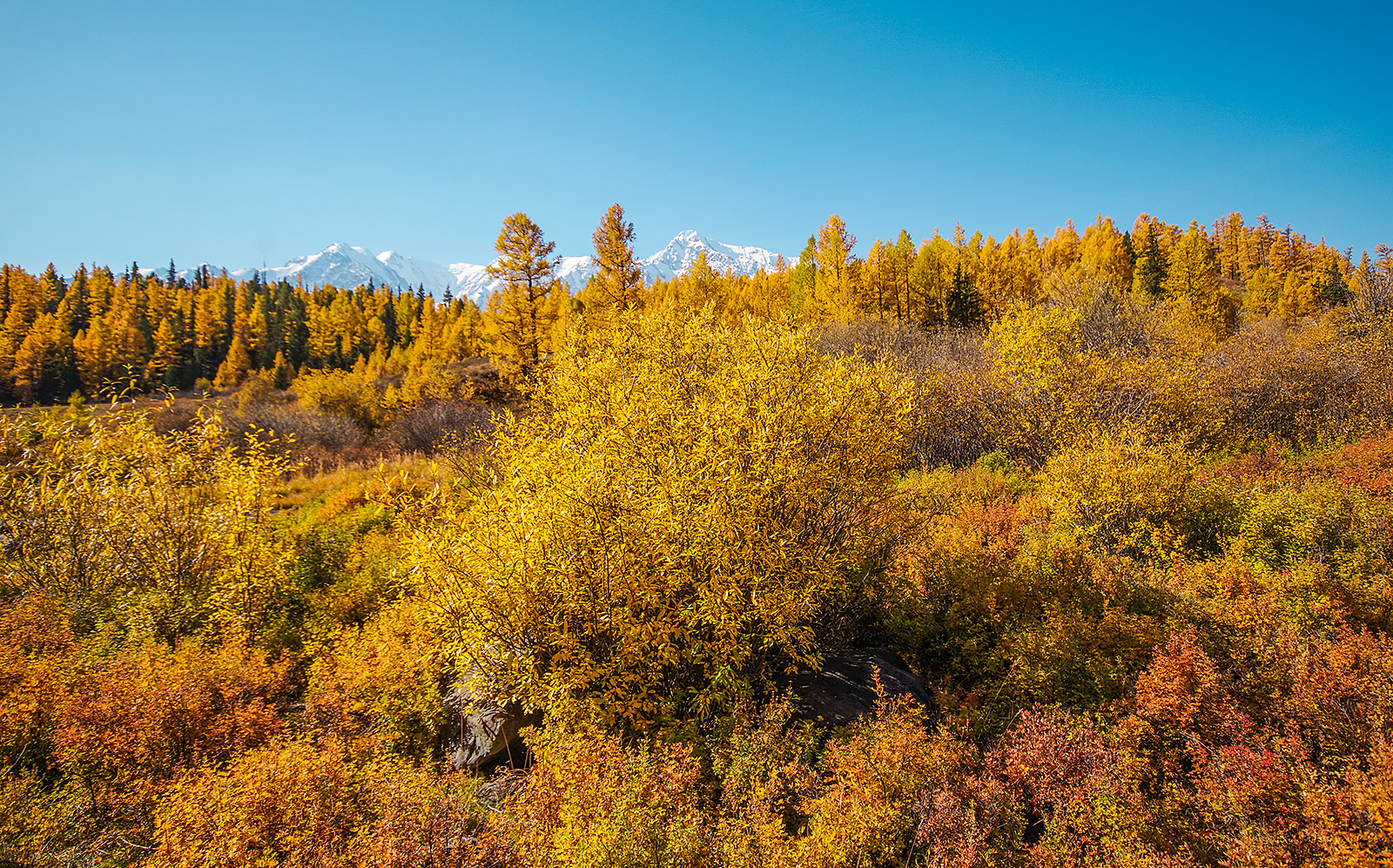 20 frames from Altai - My, Altai Republic, Michael, Travels, Holidays in Russia, Leisure, The photo, Siberia, Longpost