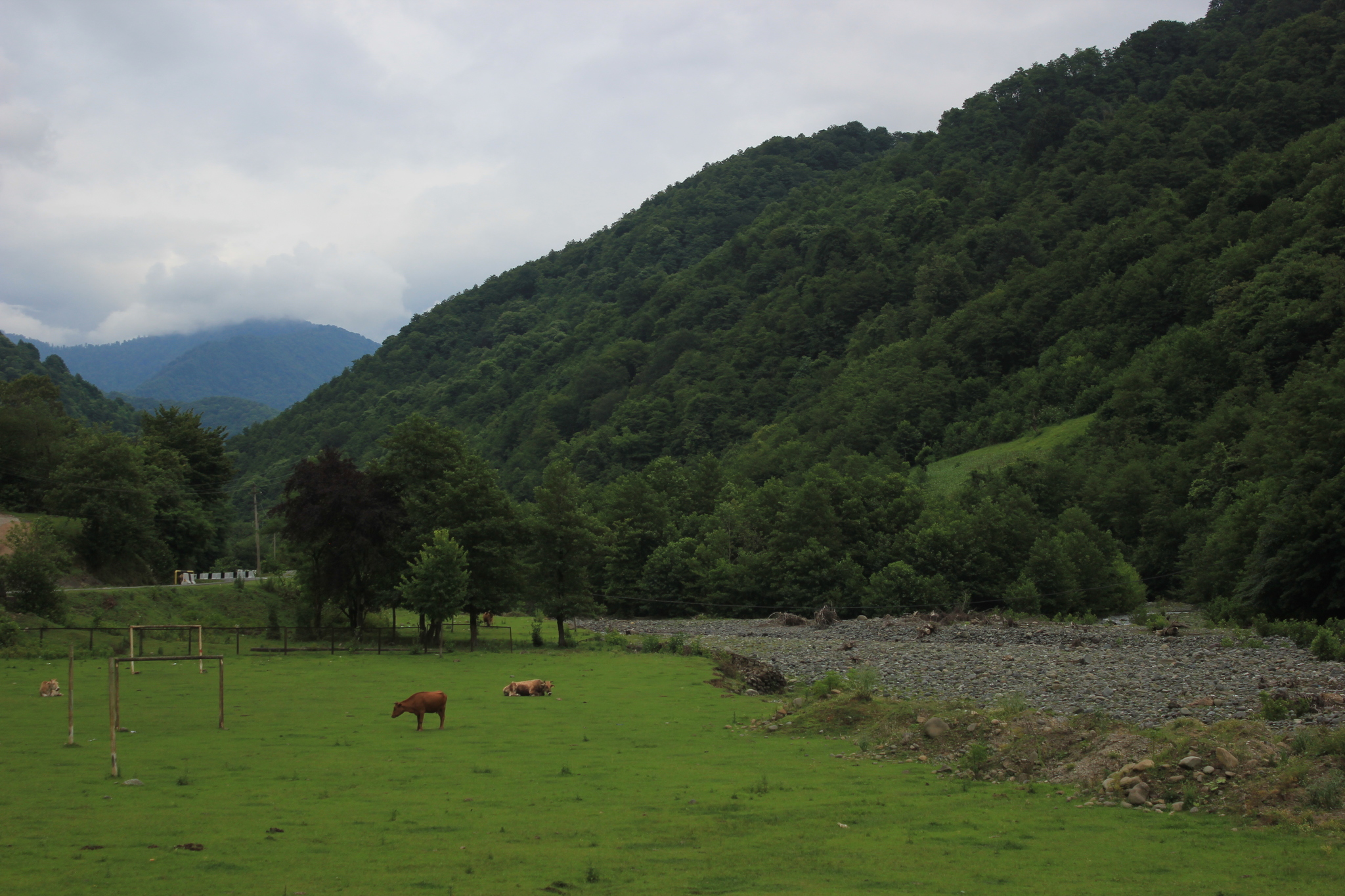 Bakhmaro. Georgia - My, Georgia, Tbilisi, Longpost