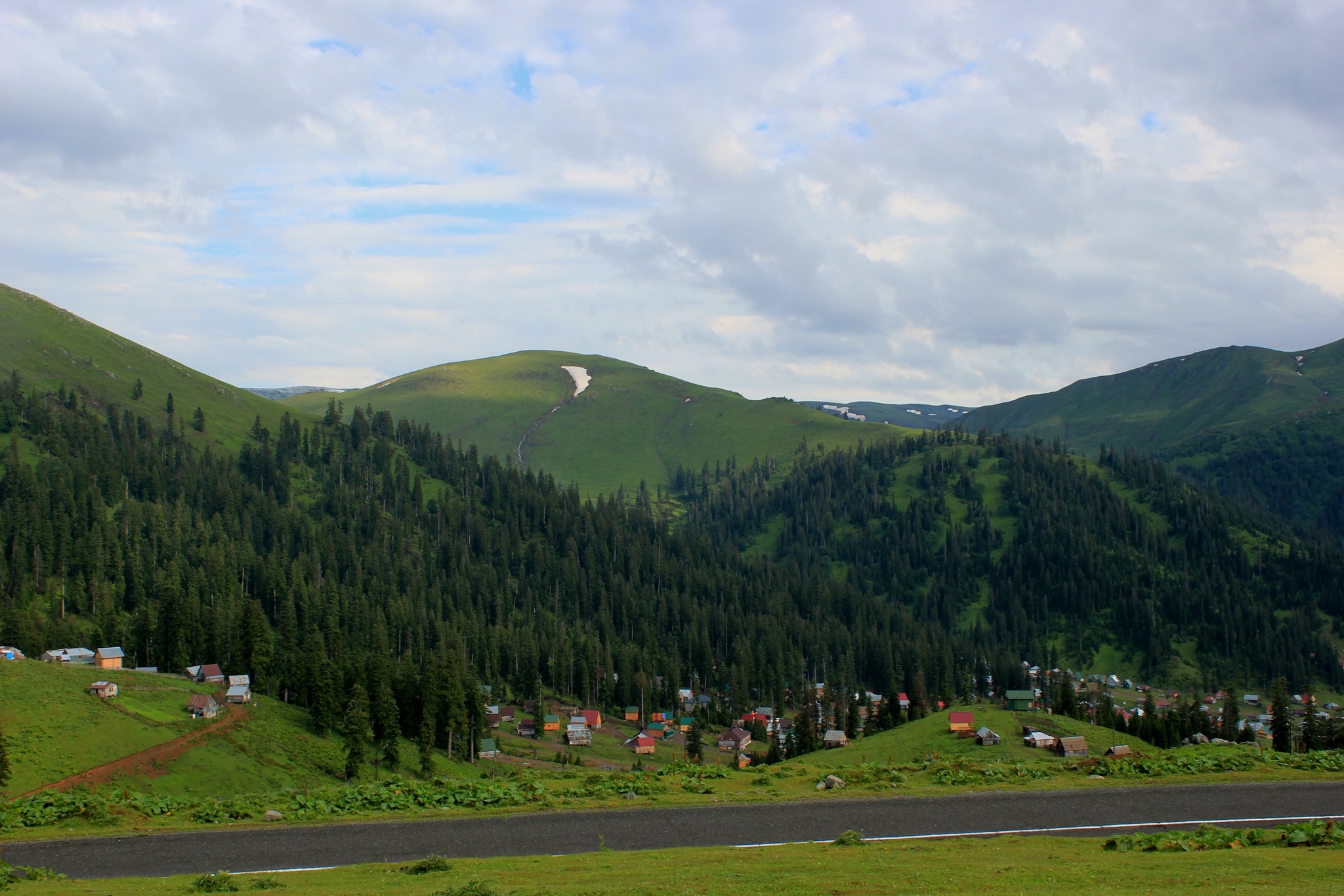 Bakhmaro. Georgia - My, Georgia, Tbilisi, Longpost